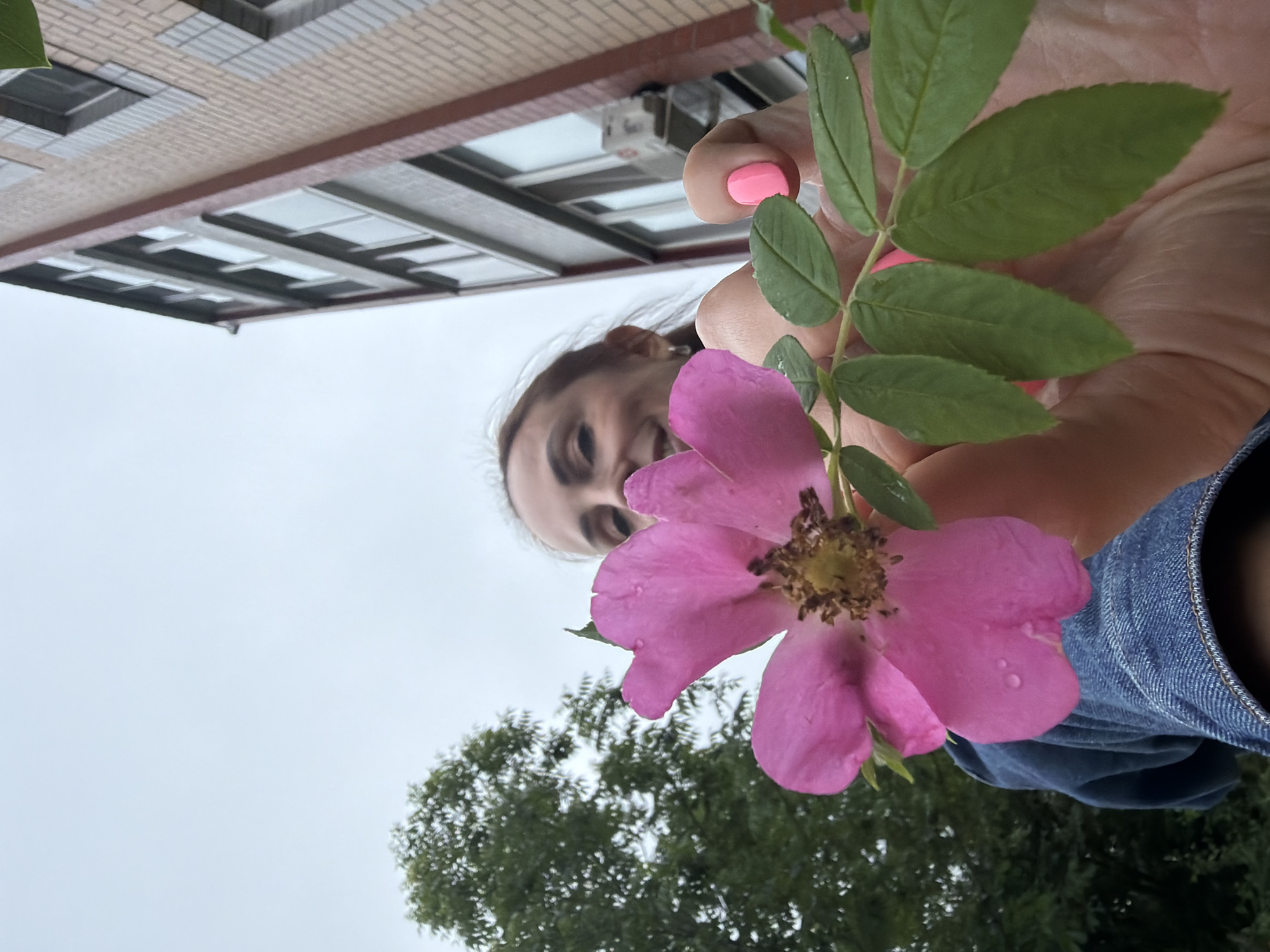 An upward-angle, close-up, outdoor shot captures a woman in Birobidzhan, Russia, holding a vibrant pink flower with green leaves in the foreground. The woman, partially visible and smiling, is dressed in a denim jacket. Behind her, a tall brick building with multiple windows dominates the right side of the frame, while a lush green tree occupies the left. The sky above is overcast and pale. The focus is on the flower, with water droplets visible on its petals. The woman's fingernails are painted a bright pink.