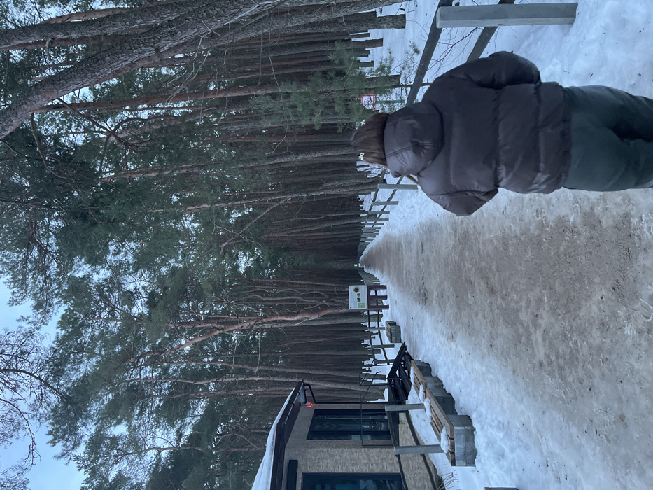 The image displays a winter scene within a dense pine forest, located in the city of Rybachii, Russia. A central, unpaved or dirt path, showing areas of melted snow and exposed soil, extends into the distance, flanked by tall, slender conifer trees. Snow covers the ground on either side of the path.
In the immediate foreground, a single individual is visible from behind, walking away from the camera along the path. This person is attired in a dark brown hooded puffer jacket and dark-colored pants. Two white or light-colored decorative clips are present in their dark brown hair.
To the left of the path, a modern, single-story building with a light-colored facade, dark-framed windows, and a dark roof with snow accumulation is partially visible. An outdoor seating area with several wooden benches constructed on concrete blocks, partially covered in snow, is situated in front of the building. A dark staircase leads to an entrance on the building's side. Further down the path on the left, a wooden information board with a gabled roof stands, displaying visual information and text. A low wooden fence, consisting of horizontal rails and vertical posts, borders both sides of the path, delineating it from the surrounding forest. A smaller sign, possibly a red and white prohibition sign, is affixed to a fence post on the right side of the path. The sky overhead is overcast and light blue-gray, indicating ambient daylight conditions.