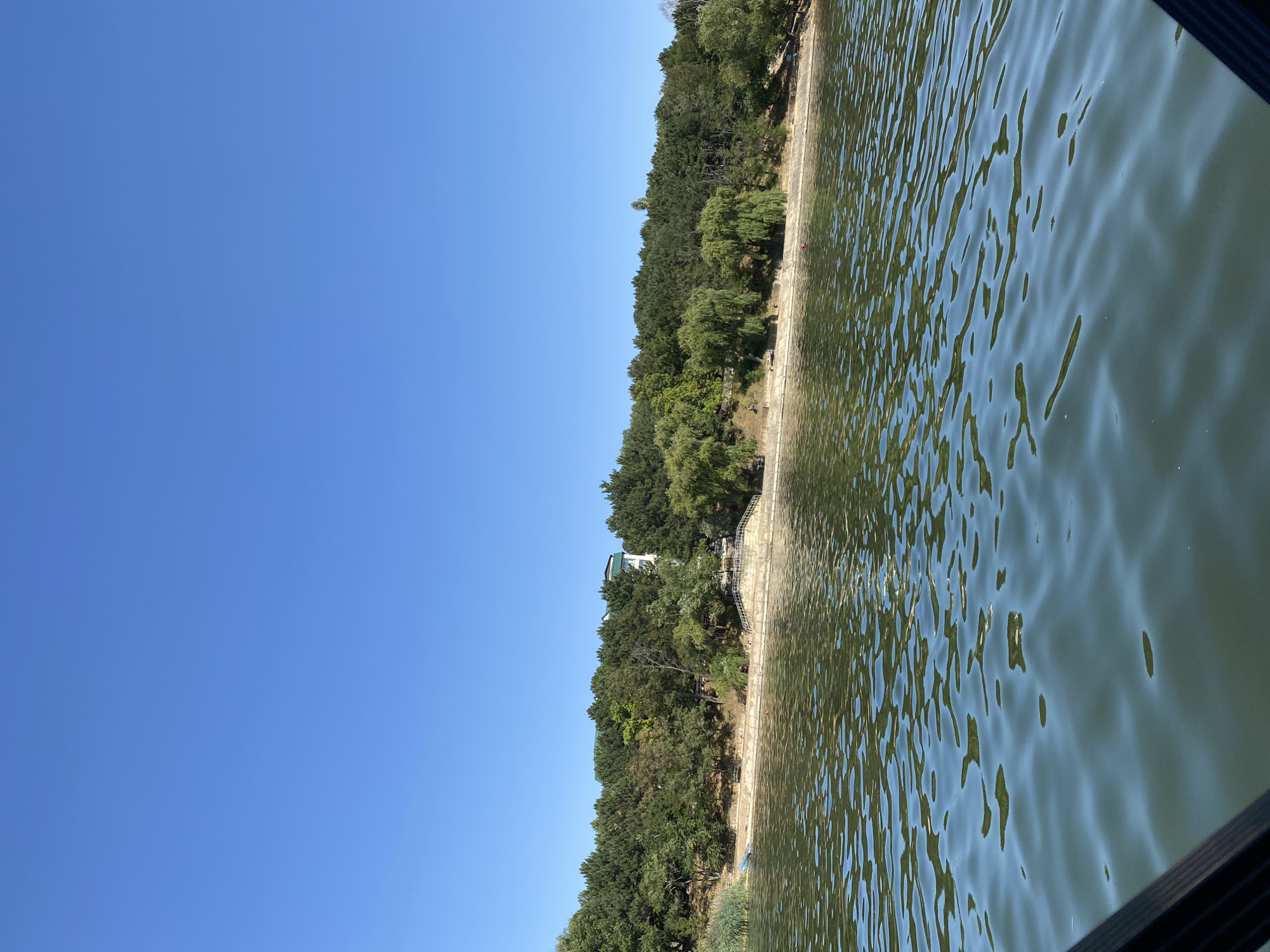 A wide, low-angle shot captures a calm body of water in the foreground, with a tree-lined embankment forming the background under a clear blue sky. The water exhibits gentle ripples, reflecting the sunlight and the surrounding greenery. Along the embankment, a variety of trees, including evergreens and deciduous varieties, create a dense forest. A concrete pathway follows the shoreline, with steps leading down to the water in some sections. A white building with a green roof is visible amidst the trees on the embankment. The scene suggests a peaceful natural setting, likely a park or recreational area, possibly within the vicinity of Molovata Nouă, Moldova.