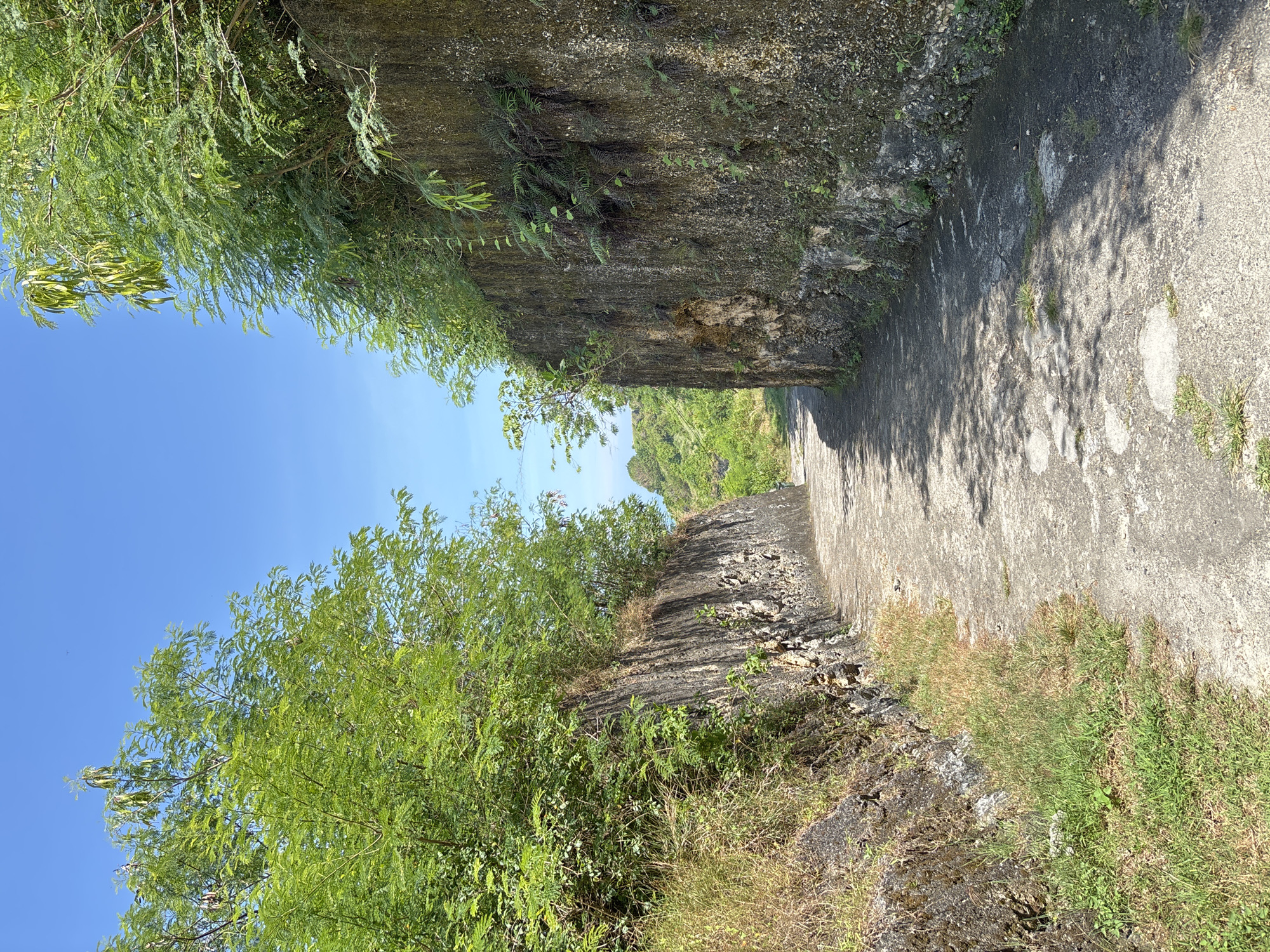 The image shows a narrow pathway enclosed by tall, weathered concrete walls, possibly located in a quarry or similar excavation. Green vegetation, including trees and grasses, grows along the tops and sides of the walls, partially obscuring the sky. The pathway is paved with concrete, which shows signs of wear and is partially covered with shadows. The walls are gray and appear textured, with some sections exhibiting signs of erosion or weathering. The blue sky is visible above the vegetation. The location is Kuta Selatan, Indonesia.