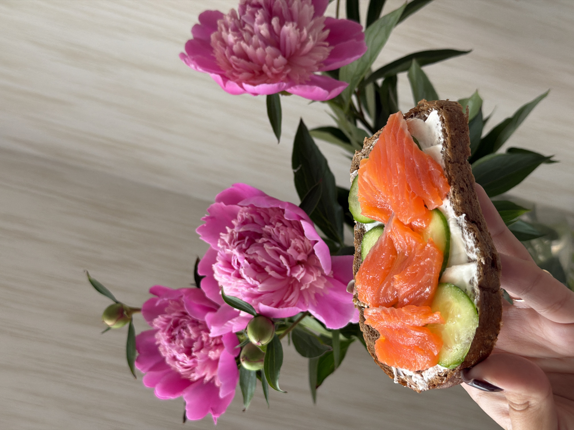 In an indoor setting, a hand holds a slice of dark rye bread topped with cream cheese, cucumber slices, and thinly sliced smoked salmon. In the background, a bouquet of vibrant pink peonies, some in full bloom and others as buds, are arranged in a vase, their lush green leaves and stems visible. The background wall has a textured, light-colored finish. The overall scene depicts a visually appealing presentation of food and flowers. There is no information or visual cue to suggest the location is in the city of Chaikovsky, Russia.