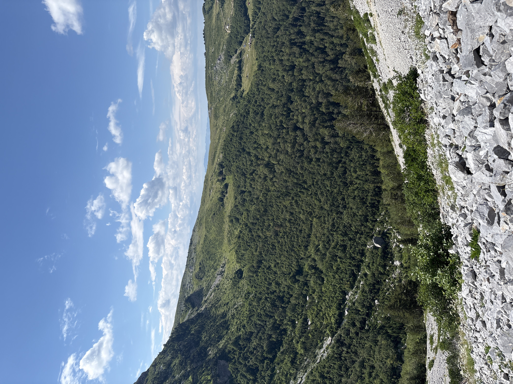 A high-angle, wide shot captures a mountainous landscape under a partly cloudy blue sky. In the foreground, a steep slope is covered in grey rocks and sparse green vegetation. The middle ground features a dense forest of dark green trees. Beyond the forest, rolling hills covered in lighter green grass extend towards the horizon, where distant mountains are visible. The scene appears to be located in or near the village of Katun Vulića, Montenegro. There are no people or animals visible in the image.