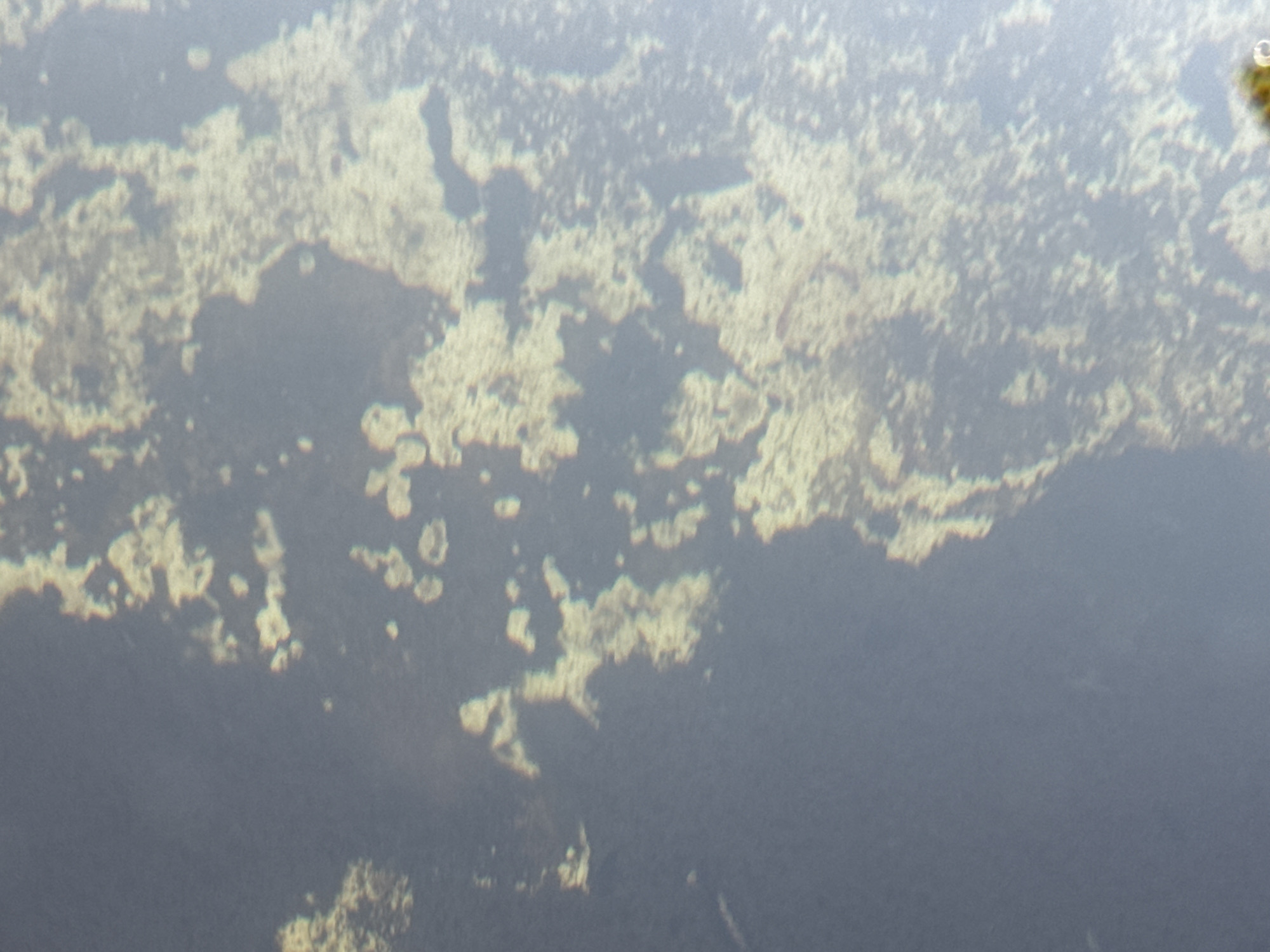 The image displays an abstract, out-of-focus view of a surface with mottled textures and color variations. The dominant colors are muted grays, blues, and pale yellows. The texture appears granular and irregular, with lighter, more opaque patches scattered across a darker, smoother background. There is a slight lens flare or bright spot in the upper right corner, and a small, out-of-focus circular object with a greenish-yellow hue is visible in the far upper right. The overall impression is that of a close-up or macro shot of a textured surface, possibly water with sediment, or a weathered material. The image lacks any discernible human presence, specific objects, or clear environmental context, rendering its location in "Unknown, Unknown" accurate given the available visual information.