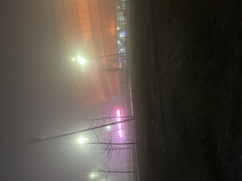 This nighttime photograph depicts an outdoor scene shrouded in heavy fog, likely in Eckbolsheim, France. The prominent subject in the background is a large, modern building featuring a distinctive orange, curved, and ribbed facade, which strongly resembles the Zénith Strasbourg Europe concert hall. Below this main structure, a vivid strip of bright pink/magenta lights cuts through the mist, possibly an illuminated sign or decorative lighting for the venue.
In the mid-ground and foreground, several bare trees with slender, dark branches are visible, their forms softened and partially obscured by the dense fog. Multiple streetlights emit a bright, diffuse glow, creating halos around them as their light is scattered by the atmospheric conditions. A line of metal barriers or fencing runs horizontally across the mid-ground, separating the illuminated background from the dark, uneven foreground, which appears to be a grassy or muddy patch of ground.
No people are visible, and no specific activity is taking place. The presence of the large venue, bright lights, and barriers suggests a public space typically used for events, but the heavy fog gives the scene a quiet, almost isolated atmosphere. The time of day is night, with artificial lights providing the only illumination. The predominant weather condition is thick fog, which lends the scene a mysterious and somewhat eerie mood. No discernible text is visible anywhere in the image.