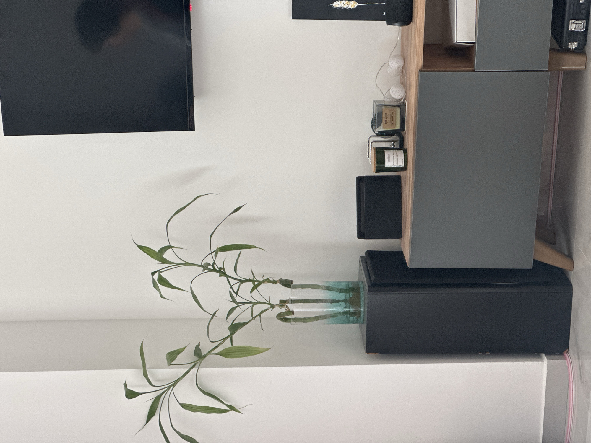 The image depicts an interior scene, possibly in Budva, Montenegro, showcasing a modern living space. A large, flat-screen television is mounted on a white wall. Adjacent to it is a shelving unit with wooden accents and gray cabinets, displaying decorative items such as candles and a small art piece. In front of the unit, a glass vase containing a bamboo plant sits atop a white ledge. The plant's leaves extend toward the television.