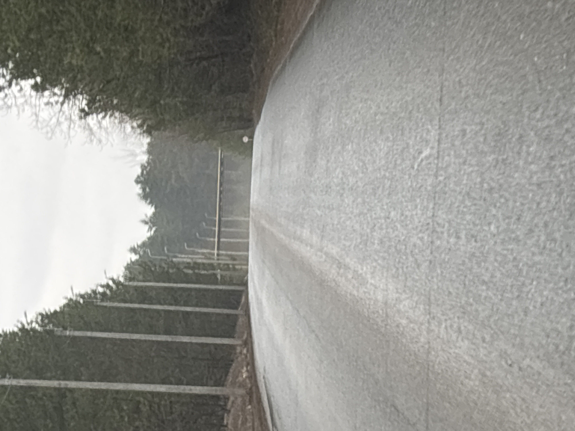 The image depicts a paved road leading into a forest. The road surface appears wet or recently rained on. To the left of the road is a series of closely spaced, horizontal concrete barriers or supports, behind which are dense trees or shrubbery. The overall color palette is muted, dominated by grays, greens, and browns. The scene is Chaikovsky, Russia.