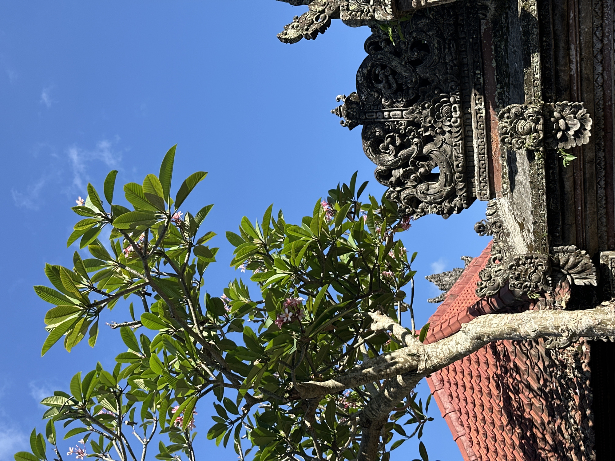 An outdoor, low-angle medium shot features a close-up of a tree with large green leaves and a few pink flowers, partially obscuring the upper portion of a traditional Balinese temple roof made of red tiles. The temple architecture is ornate, with intricately carved stone details and decorative elements. The sky above is a clear, vibrant blue. The scene is set in Ubud District, Indonesia. There are no people visible in the image.