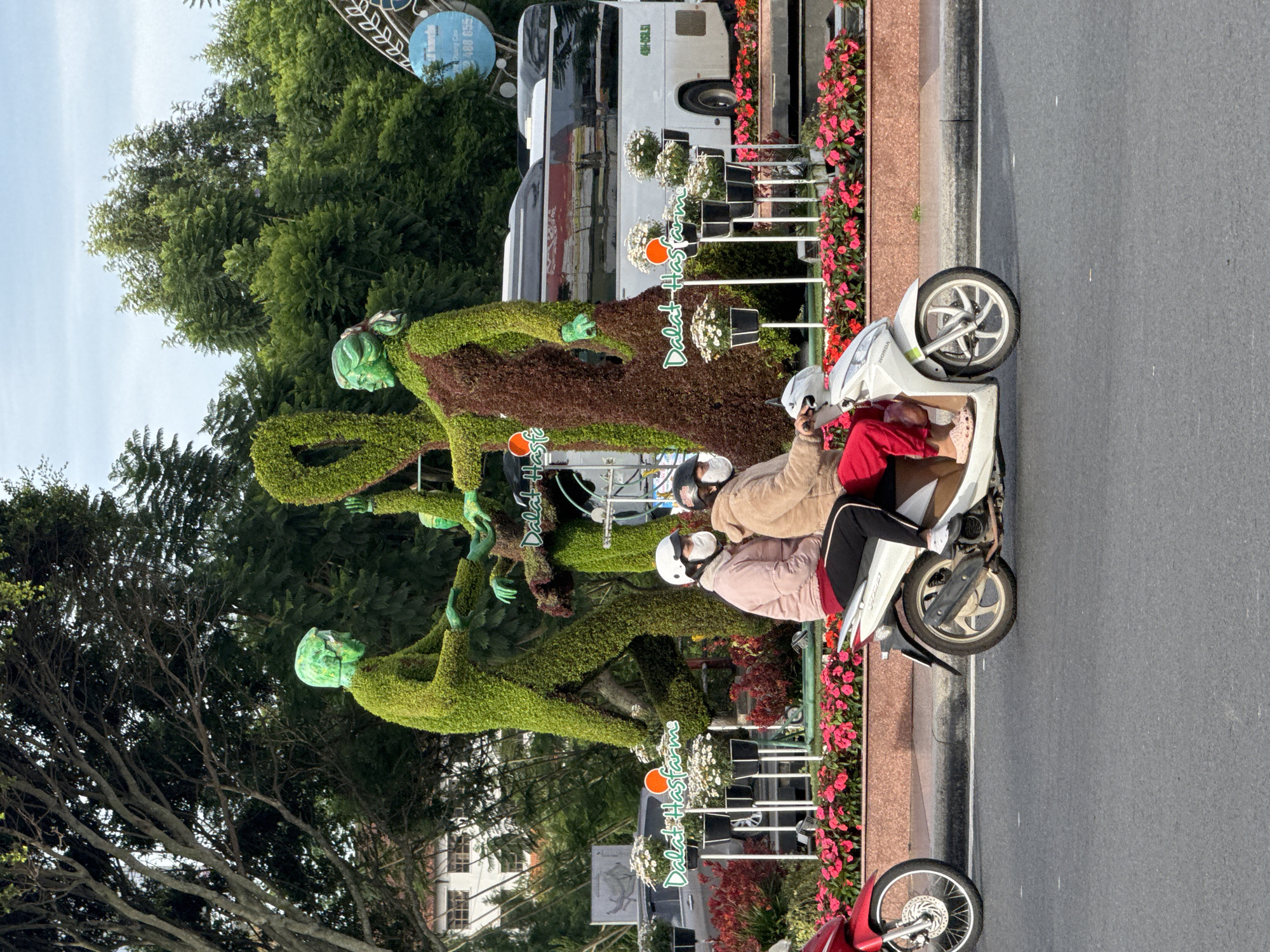 The image shows a scene in Da Lat, Vietnam, featuring an outdoor sculpture made of topiary. The sculpture depicts two humanoid figures, one larger and one smaller, intertwined with organic shapes resembling vines and leaves. The figures are green and appear to be made from meticulously shaped foliage. The larger figure is on the left, with its arms extended as if reaching out or gesturing. The smaller figure is on the right, also with extended arms.
In the foreground, a white scooter is being ridden by two individuals wearing helmets and face masks. The rider in front has a light pink jacket and black pants, while the passenger behind wears a beige jacket and red pants. They are both looking forward, suggesting they are traveling on a street.
Behind the topiary sculpture and scooter, a white bus is visible, indicating a transportation hub or a main road. The environment is lush with greenery, with trees and bushes forming a backdrop. In front of the sculpture, a flower bed with bright pink and red flowers adds a vibrant splash of color to the scene. Several potted plants with white flowers are also strategically placed. The overall impression is of a well-maintained public space with an artistic display. The sky is partly cloudy.