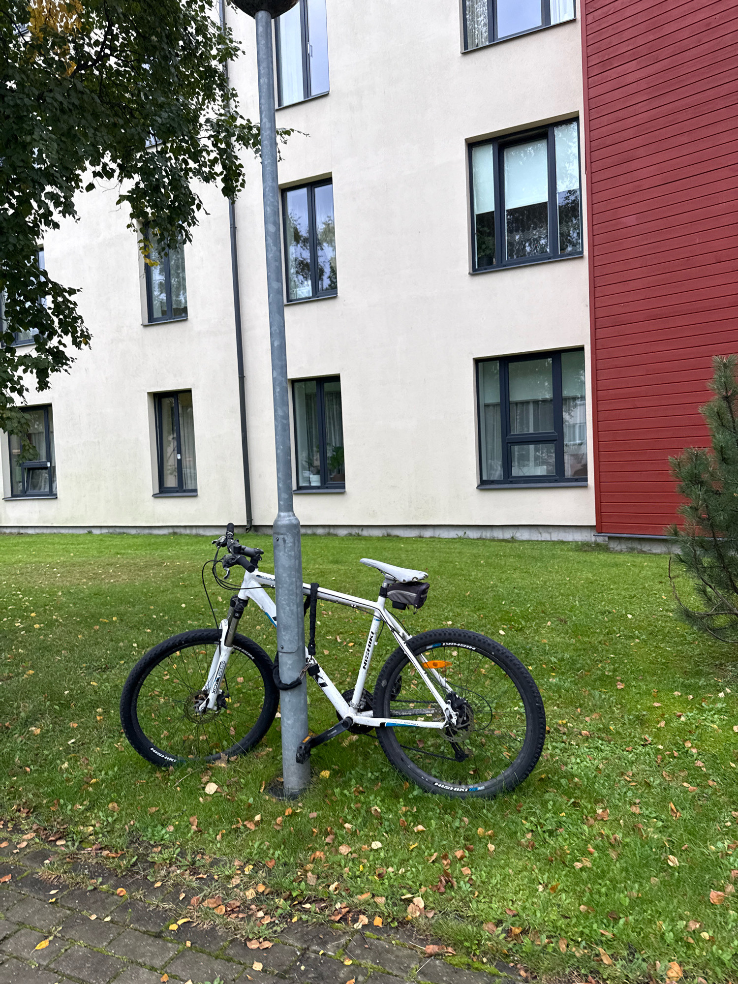 A white Nishiki bicycle is locked to a grey metal lamppost in front of a cream-colored building with dark-framed windows. A portion of a red-paneled building is visible on the right side of the frame, and a small evergreen tree is to the right of the red building. Fallen leaves are scattered across the green grass and a paved walkway in the foreground. The image appears to have been taken in Tallinn, Estonia, given the architectural style and the presence of deciduous trees and an evergreen.