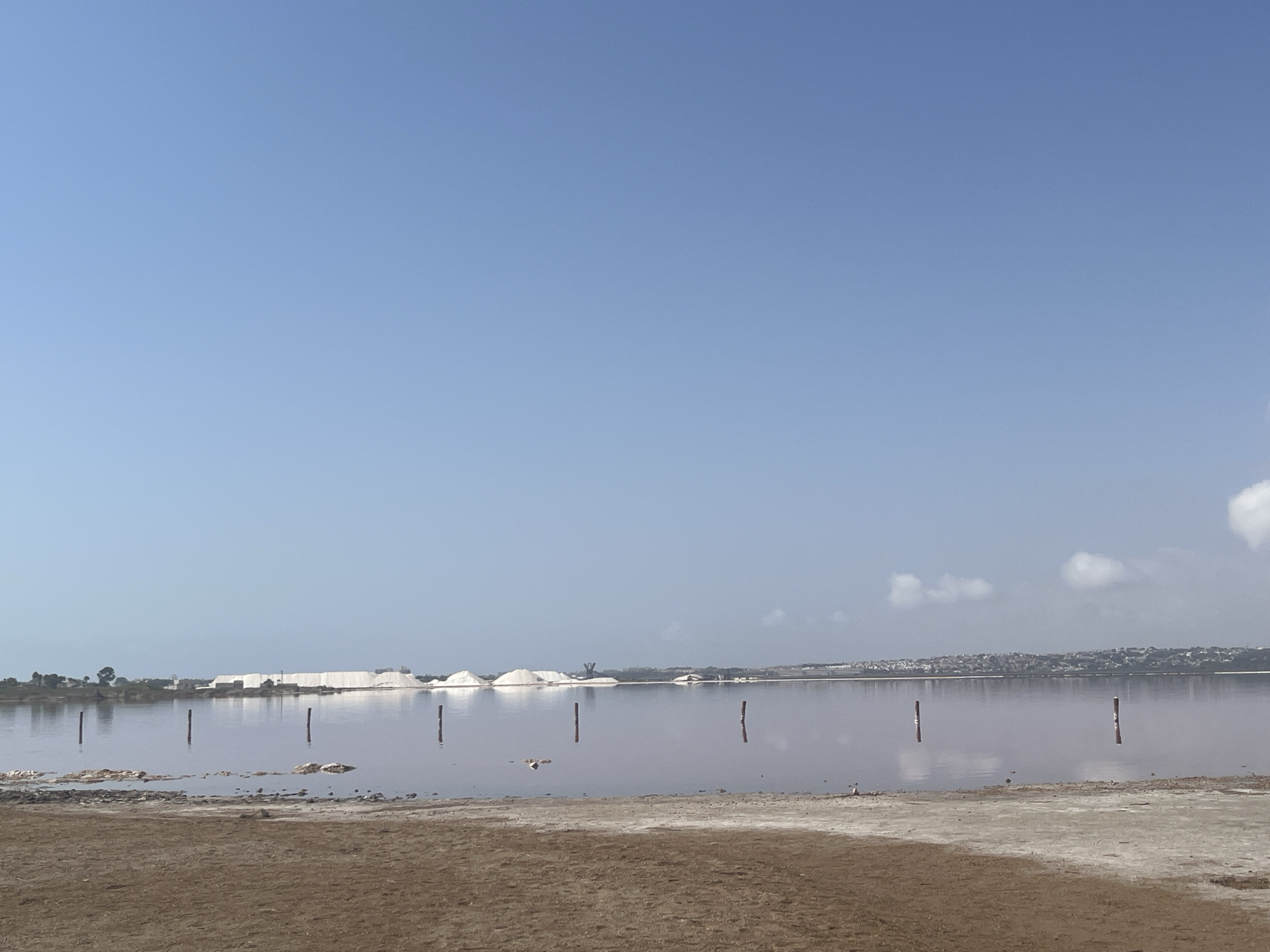 The image shows a salt lake in Torrevieja, Spain. The lake's water is a pale pinkish hue, reflecting the clear blue sky. Several wooden posts rise from the water, marking what appears to be a shallow area or pathway. In the background, large piles of white salt are stacked on the shore, suggesting a salt extraction or processing facility. A distant town with buildings can be seen on the far horizon. The foreground consists of a sandy, dry shore with some scattered rocks and debris. The scene is tranquil and appears to be under bright daylight.