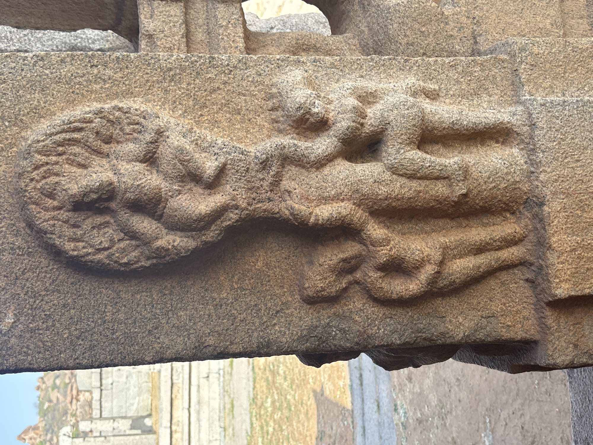 This image shows a detailed stone carving in Hampi, India. The carving depicts a lion or other feline creature with a human figure on its back. The human is small in proportion to the beast and seems to be clinging or riding. The carving is weathered and appears to be part of an architectural structure, likely a temple or other religious building. The stone has a rough texture, suggesting its age and exposure to the elements. The background shows elements of the surrounding environment, which looks like other stone structures and possibly some vegetation.