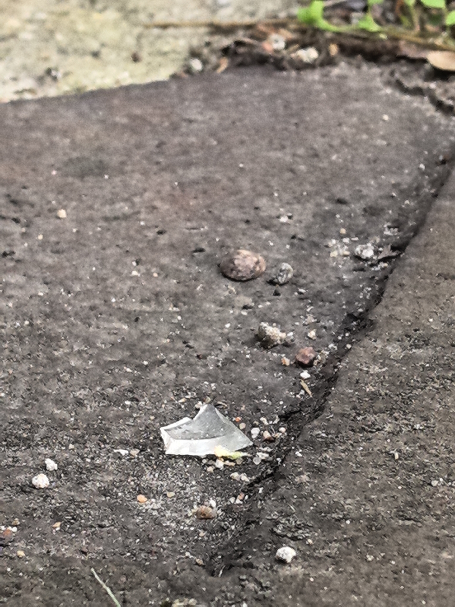 A close-up, overhead shot shows a broken shard of clear glass on a cracked, dark gray asphalt surface in an outdoor urban setting. The glass shard is triangular, with sharp edges, and is reflecting light. Surrounding the shard are small pebbles and dirt. A crack runs diagonally across the asphalt. In the upper left and right corners, the asphalt transitions to a lighter-colored, rougher surface, possibly a sidewalk or road edge. Green foliage is visible in the upper right corner, suggesting a natural element encroaching on the urban environment. The lighting appears to be natural daylight, creating shadows and highlights on the textured surface.