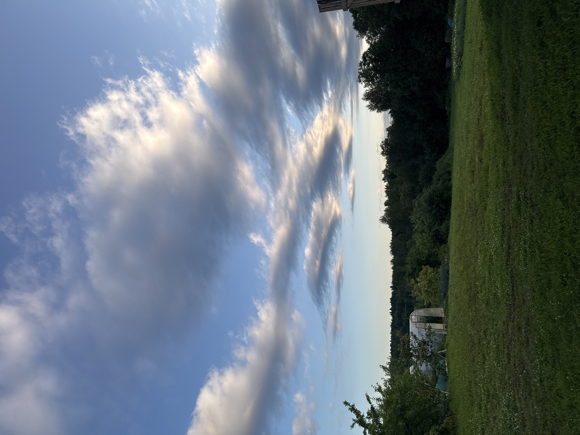 This is a vertical, medium-angle, outdoor shot of a rural landscape in Vereshchagino, Russia. The sky takes up the upper half of the frame and is filled with a mix of blue sky and grey and white clouds. The clouds are layered and appear to be moving from left to right, with some illuminated by sunlight. The lower half of the image shows a lush green meadow in the foreground. In the middle ground, there is a small, arched greenhouse with its door open, surrounded by trees and foliage. A dense line of dark green trees forms the background, extending across the horizon. The overall lighting suggests it is late afternoon or early evening. There are no people or animals visible in the scene.