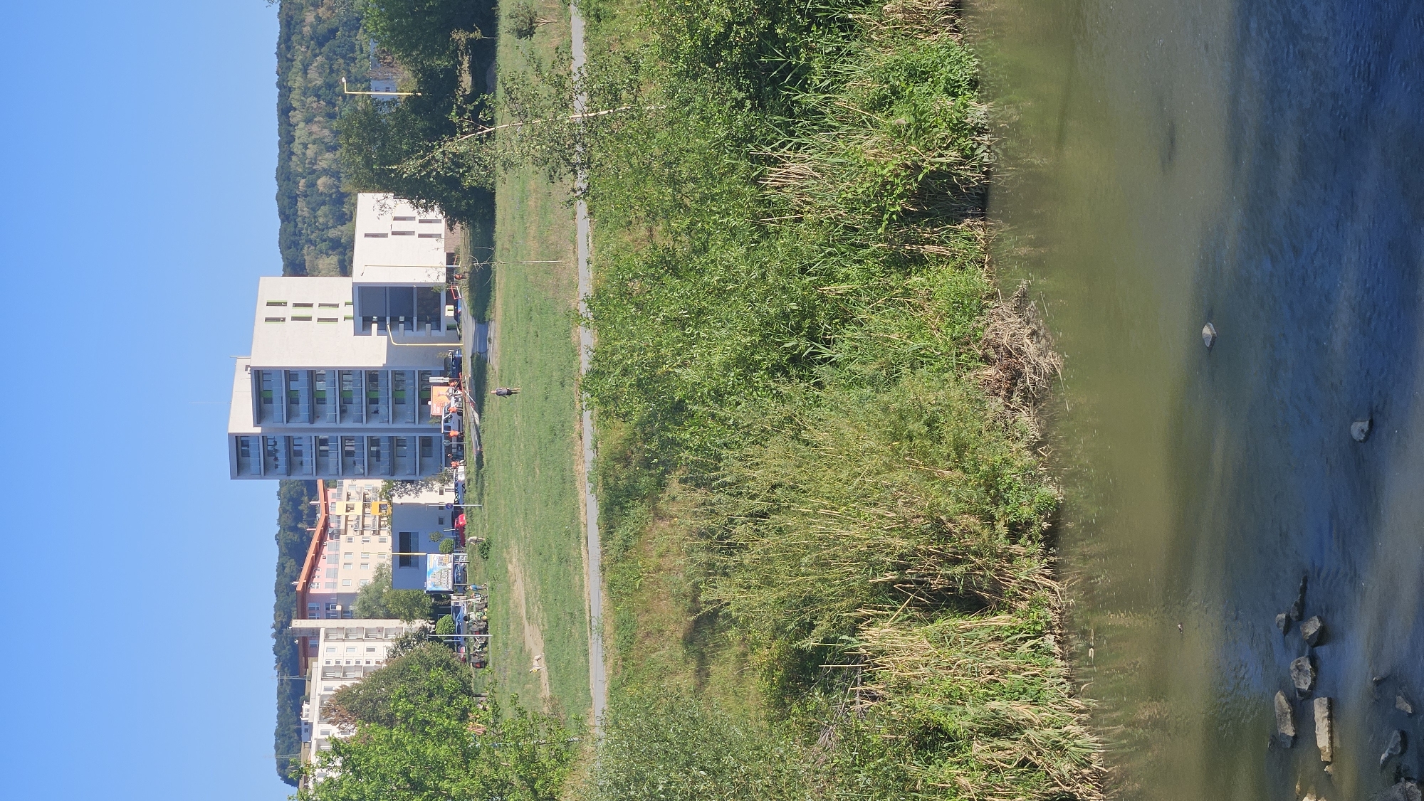 The image captures a daytime scene in Prešov, Slovakia, likely near the Sekčov housing estate. In the foreground, a calm, greenish river flows, with several dark rocks visible in its shallow waters. The riverbank is densely populated with tall, green reeds and other lush vegetation.
Further back, a strip of mown grass separates the riverbank from a paved path. Beyond the path, a grassy field stretches towards a cluster of modern apartment buildings. One prominent white building with multiple floors and balconies stands out, with a smaller attached structure. To its left, other apartment buildings with varying architectural styles and colors are visible. A few cars and people are sparsely scattered in the open space between the buildings and the field. A single individual is walking in the middle of the grassy field. In the background, a densely wooded hillside rises under a clear blue sky. The overall impression is one of a residential area with a natural green space bordering a waterway.