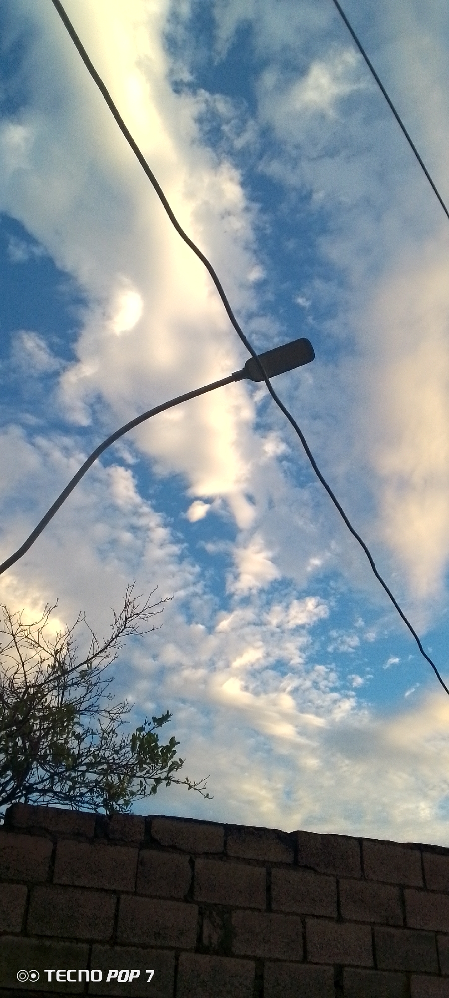 This image shows a view of the sky with clouds, partially obscured by overhead wires and a street lamp. In the foreground, a brick wall runs horizontally across the bottom of the frame, with a bare tree branch and some green leaves visible above the wall on the left. The sky is blue with white and yellowish clouds, suggesting it might be sunrise or sunset. There are no people or animals visible in the image. The bottom left corner of the image has a watermark that reads "TECNO POP 7". The scene appears to be outdoors, possibly in a residential area. There is no specific indication of the location being Altagracia, Venezuela, within the image itself.
