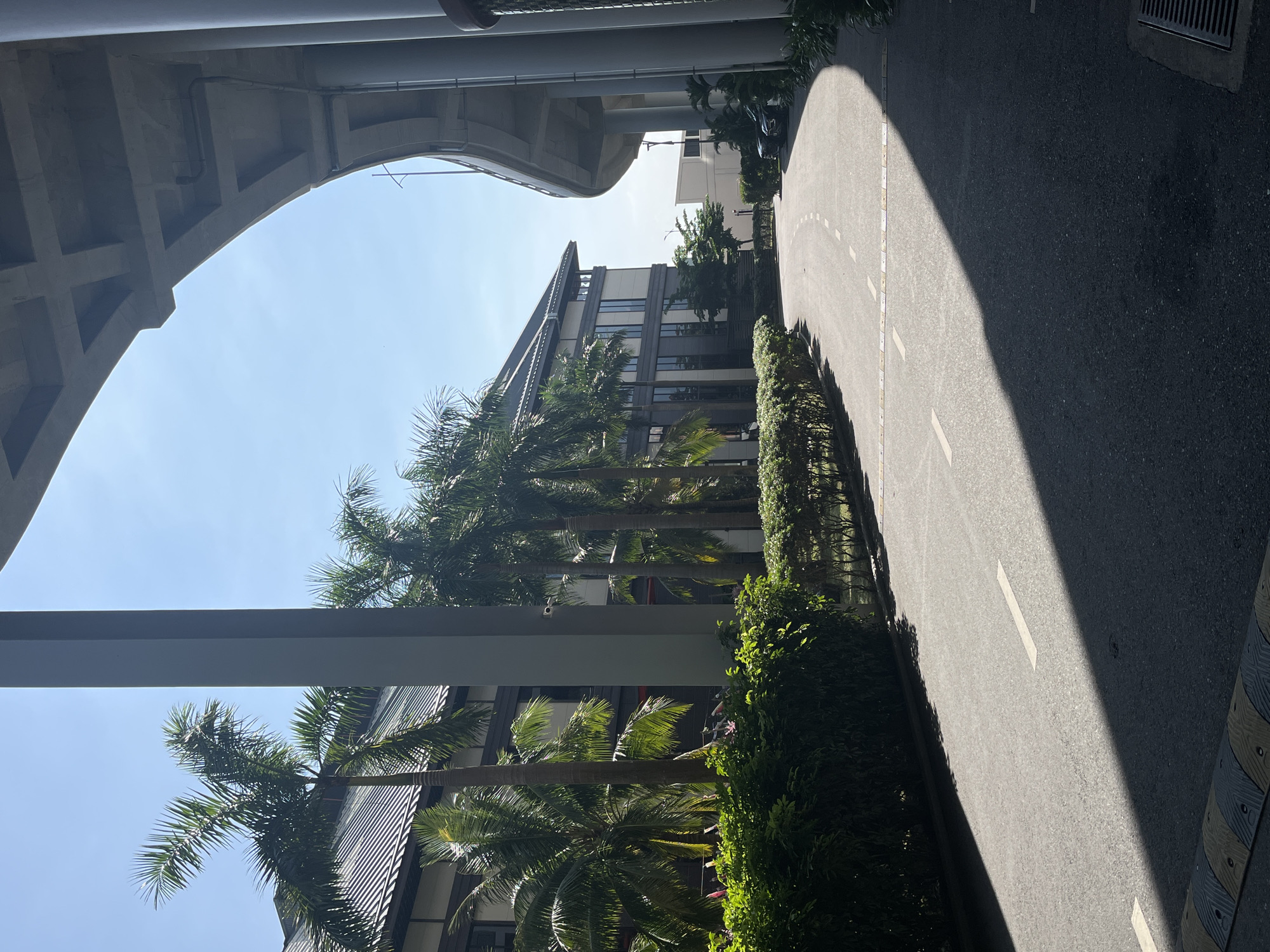 This image captures a bright, sunny urban scene, likely in Đà Nẵng, Vietnam, viewed from beneath a large, elevated concrete structure such as a bridge or overhead railway. The underside of this grey structure, featuring strong architectural elements like arches and beams, dominates the upper portion of the frame, partially framing a clear, bright blue sky. Utility pipes and wires are visible along its base.
Below the structure, an asphalt road or wide path stretches into the distance, gently curving. It is marked with dashed white lines, indicating lanes or a defined pathway. A distinct shadow cast by the overhead structure divides the road, with one half brightly lit by the sun and the other in deep shade. A metal drainage grate is visible near the edge of the shadowed part of the road. On the far right, a patterned speed bump or curb, featuring grey and yellow/white zig-zag markings, lines the edge of the path.
Parallel to the road, a dense, manicured green hedge forms a boundary. Behind this, several tall, slender palm trees with lush green fronds rise upwards, partially obscuring multi-story modern buildings in the background. These buildings exhibit contemporary architecture, with dark-colored roofs and numerous windows. A dark vehicle is faintly visible parked near one of these buildings, partially hidden by the foliage and shadows.
The clear blue sky, bright sunlight, and sharp shadows indicate a clear, sunny day, likely during late morning or early afternoon. No people or specific activities are visible, presenting a calm and static snapshot of this organized urban environment. No discernible text is present in the image.