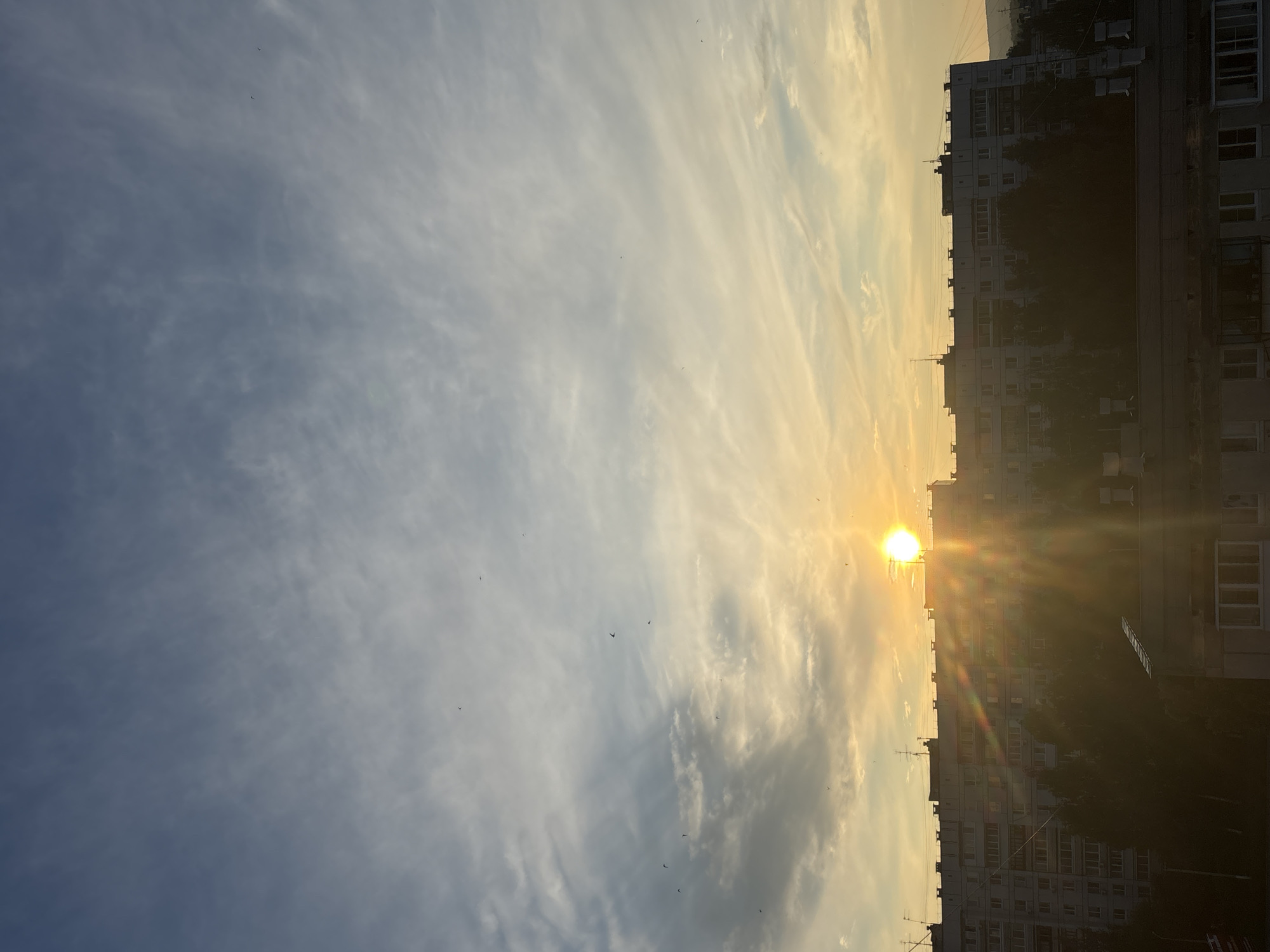 The image shows a wide view of an apartment building in Chaikovsky, Russia, at sunset. The sun, partially obscured by clouds, casts a warm glow across the sky, creating lens flares that streak across the scene. The sky is a blend of blue and yellow hues, with wispy clouds scattered throughout. Several birds are visible in flight against the colorful sky. The apartment building is a multi-story structure with many windows, typical of Soviet-era architecture. Trees are silhouetted in front of the building, and another building, lower in height, is visible in the foreground. The overall impression is one of a peaceful, urban evening in Russia.