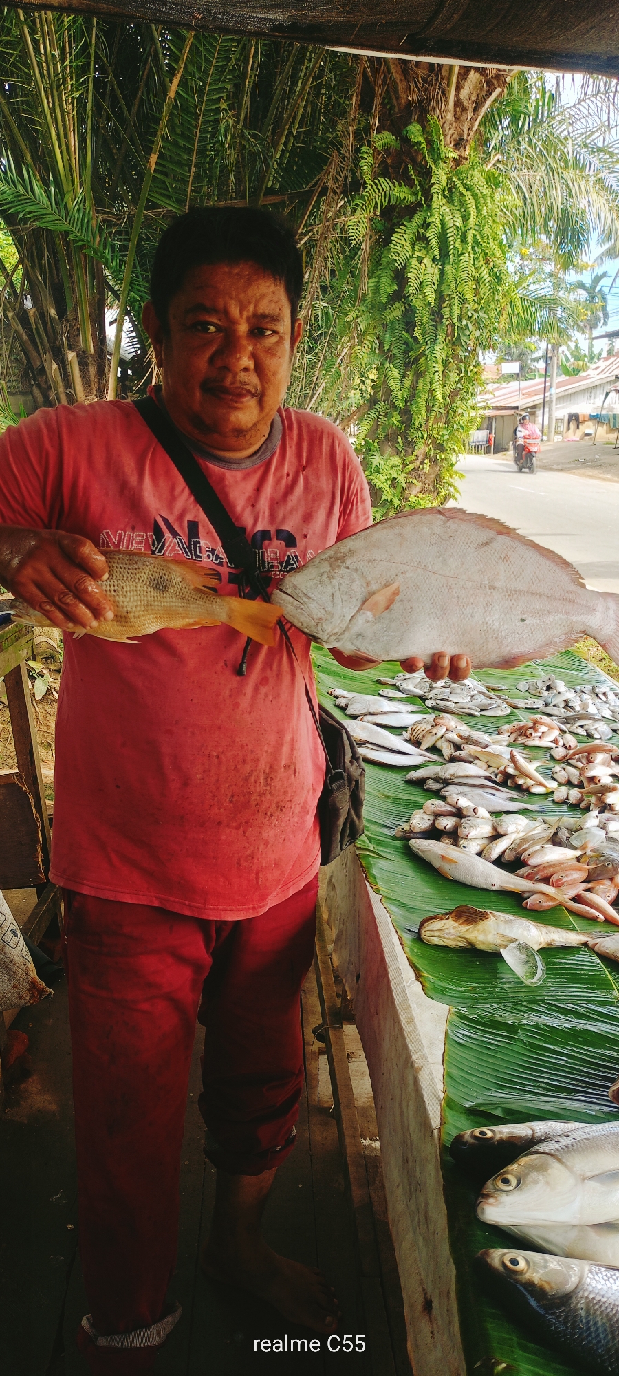 In Lhokseumawe, Indonesia, a middle-aged man with dark hair, a mustache, and a solemn expression stands behind a market stall. He is wearing a faded red short-sleeved t-shirt with dark stains, red trousers, and a black shoulder bag strap across his chest. His bare feet are visible on the wooden floor. He holds two fresh fish, presenting them towards the viewer: a smaller, yellowish-brown fish with a yellow tail in his left hand, and a larger, broad-bodied, light grey/pinkish fish in his right hand. To his right, a variety of other fresh fish are meticulously displayed on a table covered with large green banana leaves, including silvery fish, smaller reddish fish, and at least one larger fish with a melting ice block on it. Behind the man and the stall, dense tropical vegetation, primarily palm trees and ferns, is visible. A dark mesh net or tarp provides overhead shade. In the background, an asphalt road runs parallel to the stall, with several simple single-story buildings featuring corrugated metal roofs. A person on a red motor scooter is observed driving in the distance on the road under a bright sky. The image includes a "realme C55" watermark in the lower right corner.