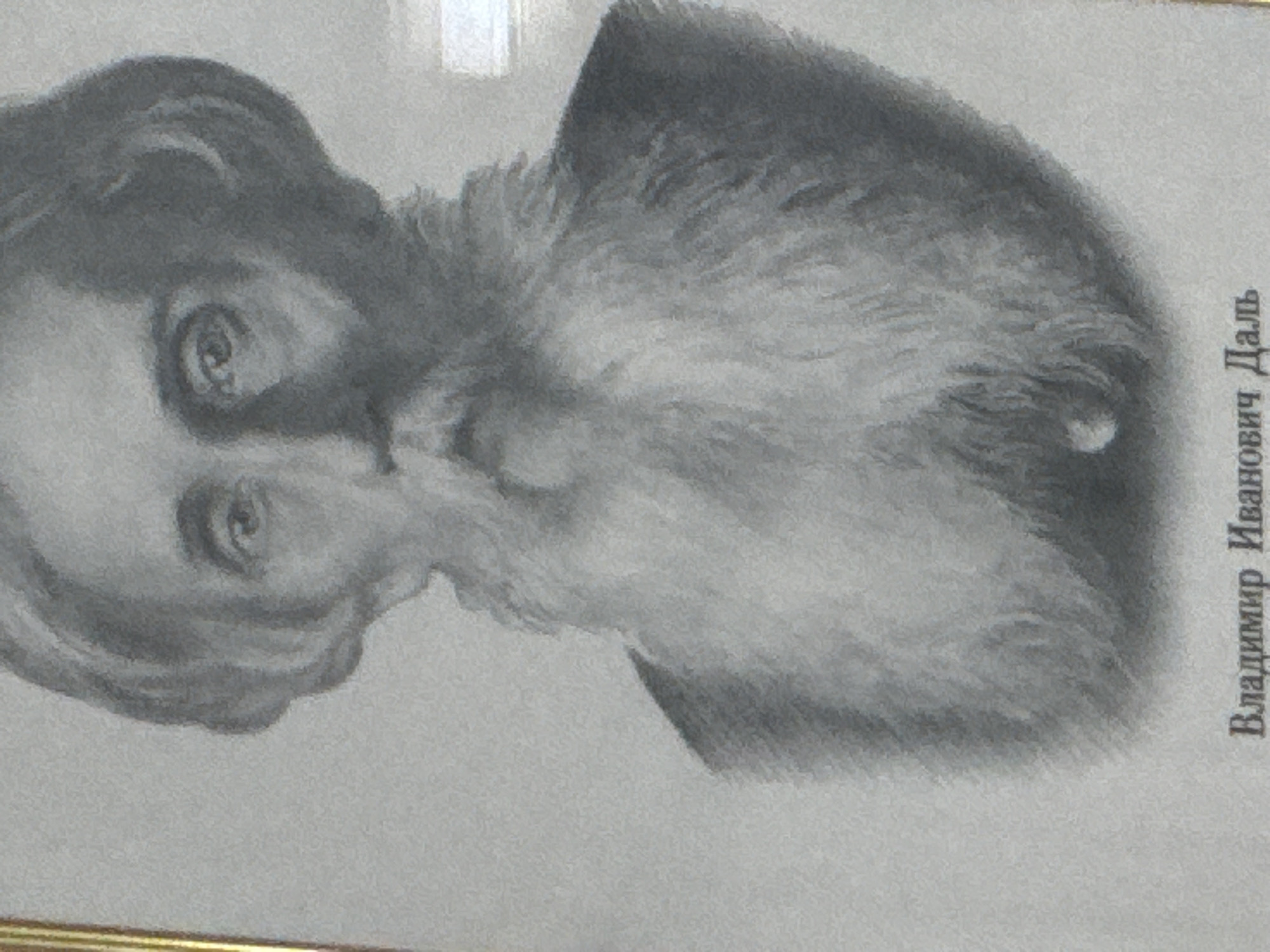 This media file features a grayscale portrait, likely a drawing or lithograph, of an elderly man. The subject is depicted from the shoulders up, facing slightly left, with his gaze directed towards the viewer. He possesses a prominent, long, and flowing white beard and mustache, along with neatly styled hair. His facial expression appears serious and contemplative, with wrinkles visible around his eyes, suggesting wisdom or age.
The portrait itself has a light, plain background. The photograph captures the portrait, which appears to be framed, with a portion of a golden frame visible along the bottom edge of the image. There is a slight glare or reflection near the top center of the original image, indicating the portrait might be behind glass.
Prominently displayed on the right side of the portrait, oriented vertically, is Russian text. The text reads: "Владимир Иванович Даль" (Vladimir Ivanovich Dal). This identifies the subject of the portrait.
No specific activity is taking place within the portrait itself, as it is a static representation of an individual. The overall impression is one of a historical or significant figure. The location context provided is Birobidzhan, Russia.