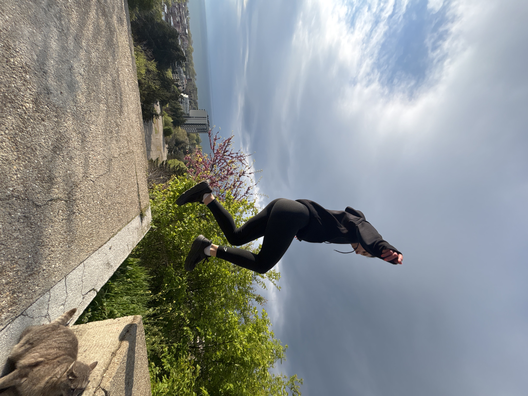 A person wearing black clothing is airborne, suspended horizontally in front of trees and a clouded sky, with a city and body of water visible in the distant background. A concrete ledge is visible on the left, with a gray tabby cat sitting on it. The location is Unknown, Unknown.