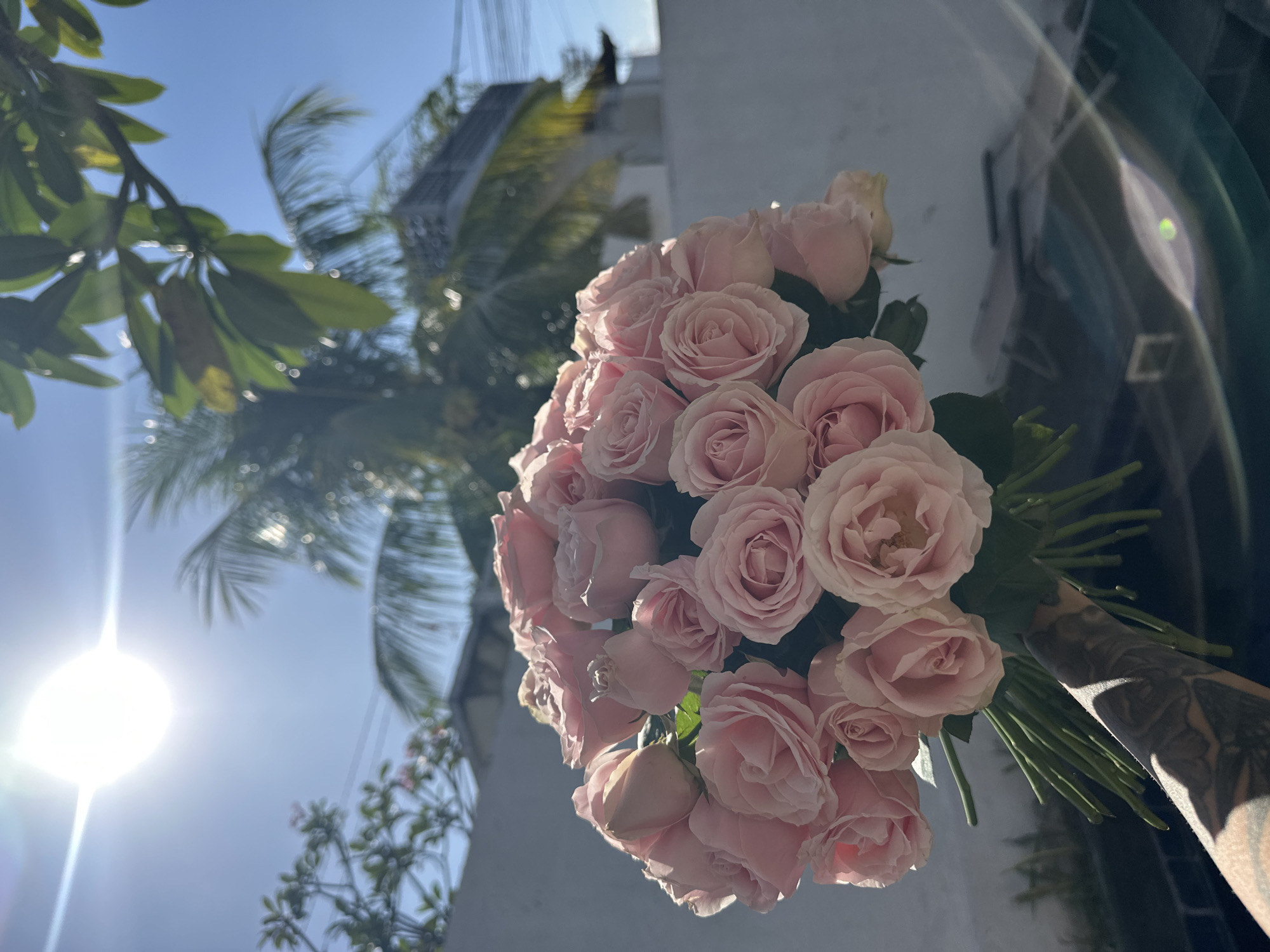 A bouquet of light pink roses is held by a tattooed arm in front of a white wall, with palm trees and a bright sun in the background. The scene appears to be outdoors, possibly in a residential area of North Kuta, Indonesia, given the architectural style and vegetation. The sun is high in the sky, casting a bright glare and creating lens flare effects across the image. The roses are the primary subject, appearing fresh and fully bloomed. The background is blurred, suggesting the focus is intentionally on the flowers. The arm holding the bouquet has intricate dark grey tattoos.