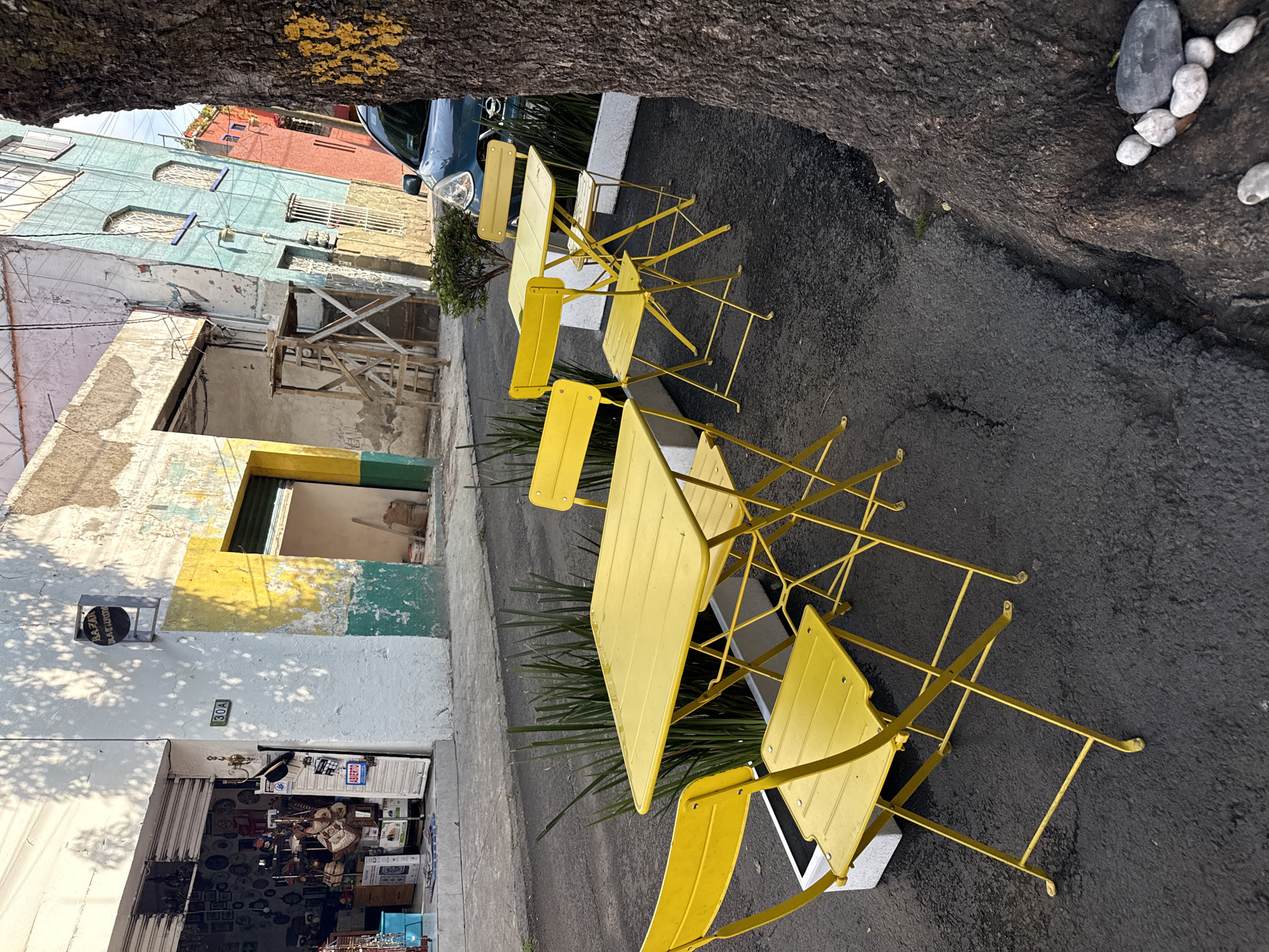 The image presents a row of yellow metal tables and chairs lined up along a narrow street in Mexico City, Mexico. The perspective is looking down the street, which is made of asphalt. Adjacent to the street, there's a sidewalk, and next to that, buildings with colorful facades in shades of white, yellow, green, blue, and red. The buildings appear to be a mix of residential and commercial spaces. One storefront is visible, filled with an array of items. Overhead, there's foliage from trees, with a large tree trunk occupying the top portion of the frame. Scattered on the tree trunk and in the vicinity are a few small stones. A portion of a blue car is visible parked along the street. The angle of the image gives the street a slightly compressed and upward-sloping appearance.