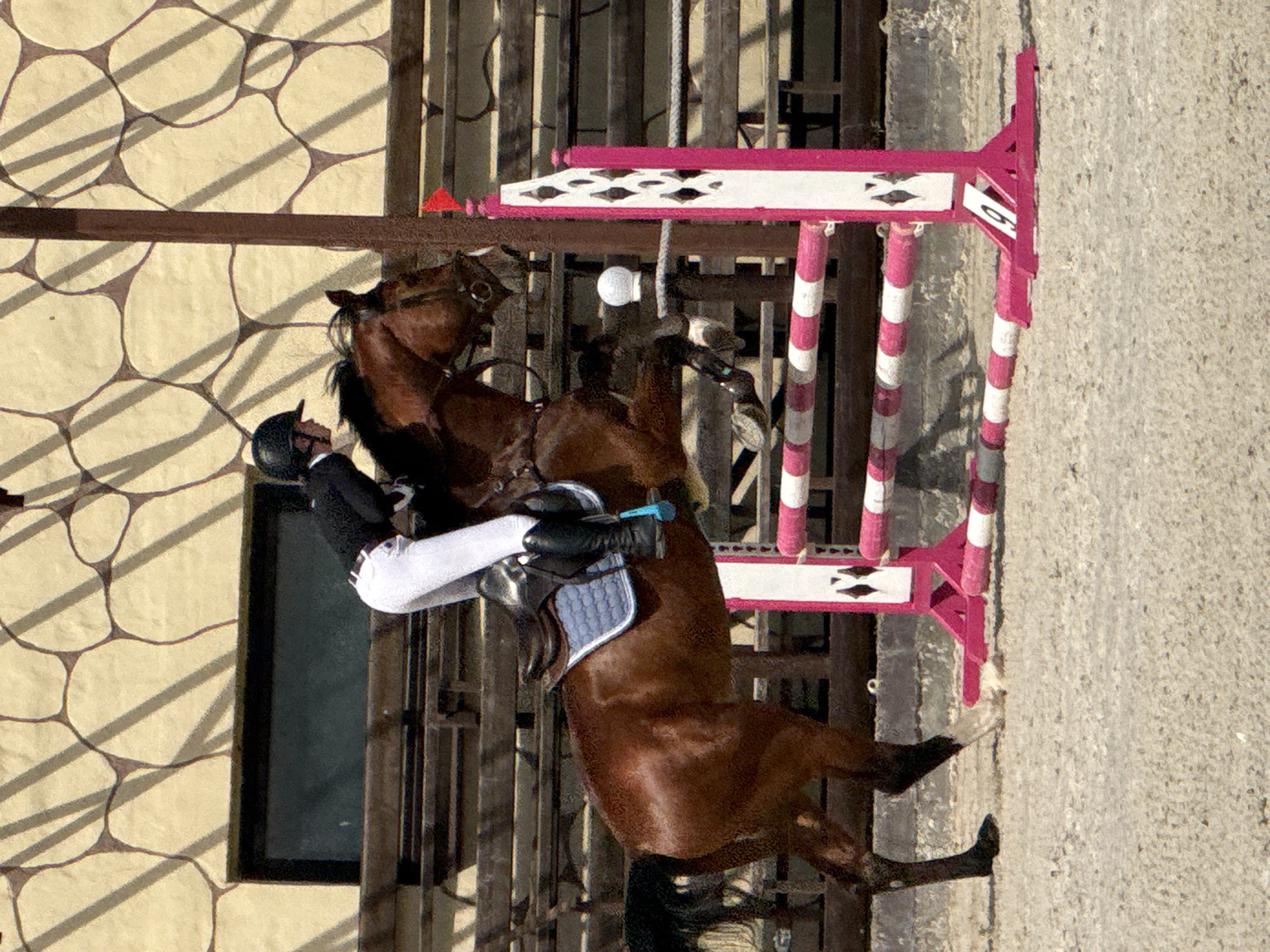 A horse and rider are captured mid-jump over an obstacle in an outdoor equestrian event. The horse, a bay, is in full flight, hindquarters tucked, forelegs extended as it clears a pink and white striped pole. The rider, dressed in traditional equestrian attire including a black helmet, black jacket, white breeches, and black boots, is leaning forward, maintaining balance. The horse is wearing a bridle and a blue saddle pad. The obstacle is supported by pink standards with white diamond patterns. Behind the jump, wooden bleachers are visible, and further back, a building with a textured, light-colored facade with an abstract pattern of dark lines forms the backdrop. A dark rectangular window is set into this facade. The ground is covered in light-colored gravel, typical of a riding arena. Sunlight casts shadows on the building. The scene appears to be a competition or training event at a farm or equestrian center, likely in a rural or semi-rural setting. The image is taken at eye level from the side.