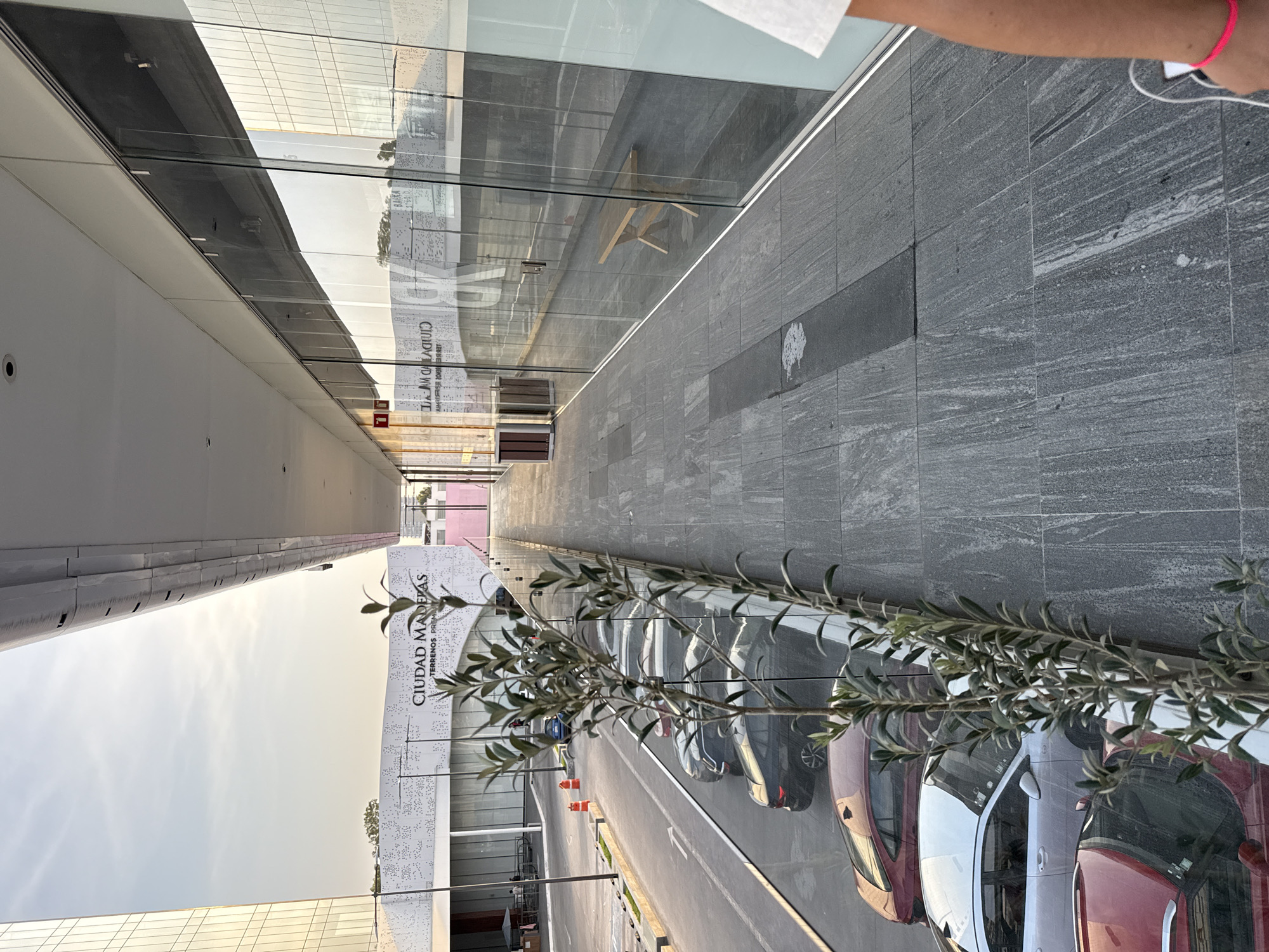 The image depicts an outdoor area in the city of Puebla, Mexico, outside a building marked "Ciudad Maderas." The building has a modern glass facade. The walkway is paved with large gray stone tiles. A row of parked cars lines the walkway, including red, white, and black vehicles. A thin, leafy tree is planted along the edge of the walkway, partially obscuring the cars. In the upper right corner, part of a person's arm is visible, with a pink bracelet. The sky is partly visible, appearing light and hazy.