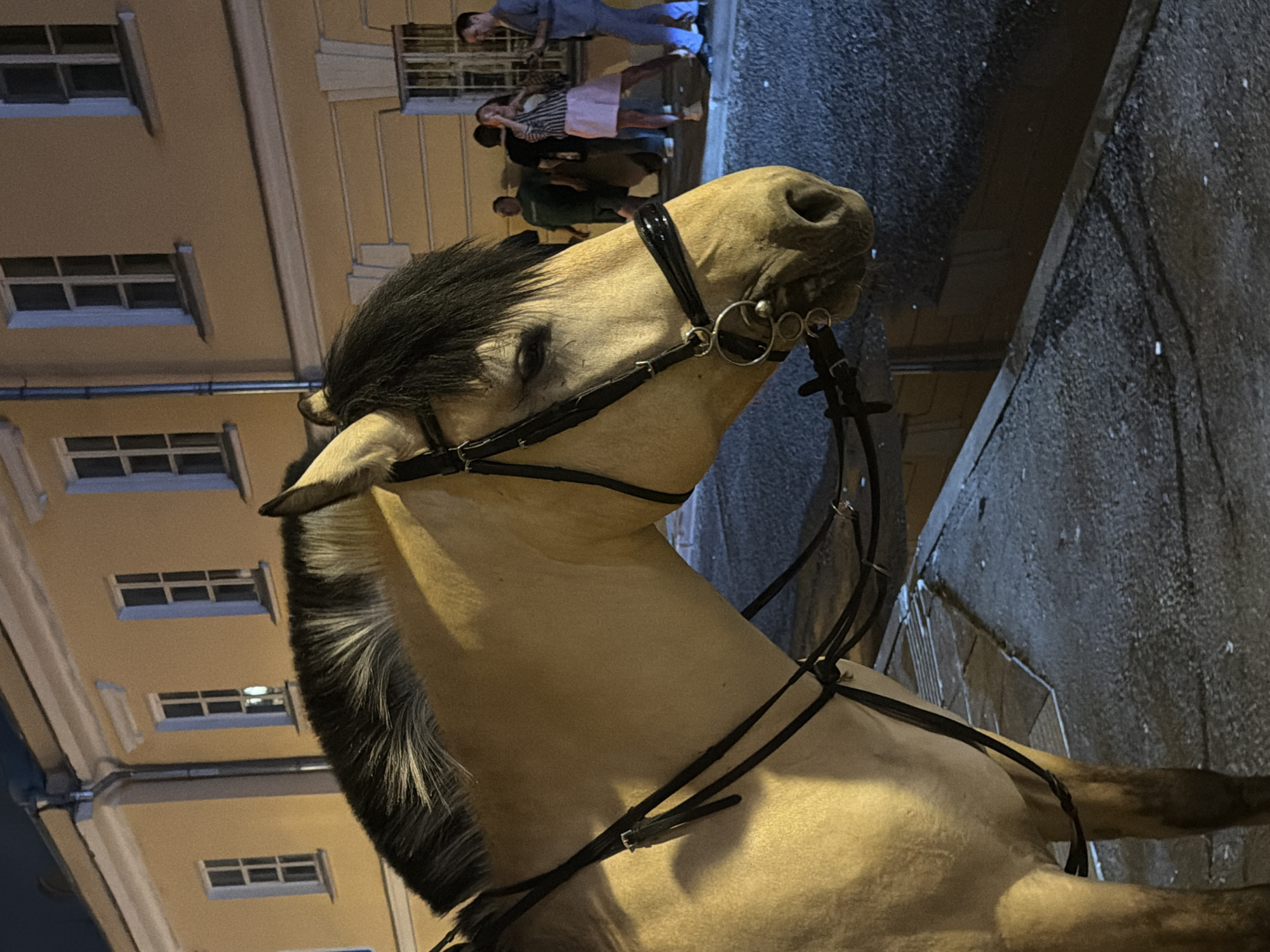 In Moscow, Russia, a pale horse with a dark mane stands on a cobbled street at night, facing right. The horse wears a black bridle and harness. Behind the horse, a yellow building with multiple windows is visible. Several people are gathered on the sidewalk in front of the building, some standing and talking, while one woman in a striped top and pink skirt appears to be laughing. The street and sidewalk are illuminated by artificial light, casting shadows.