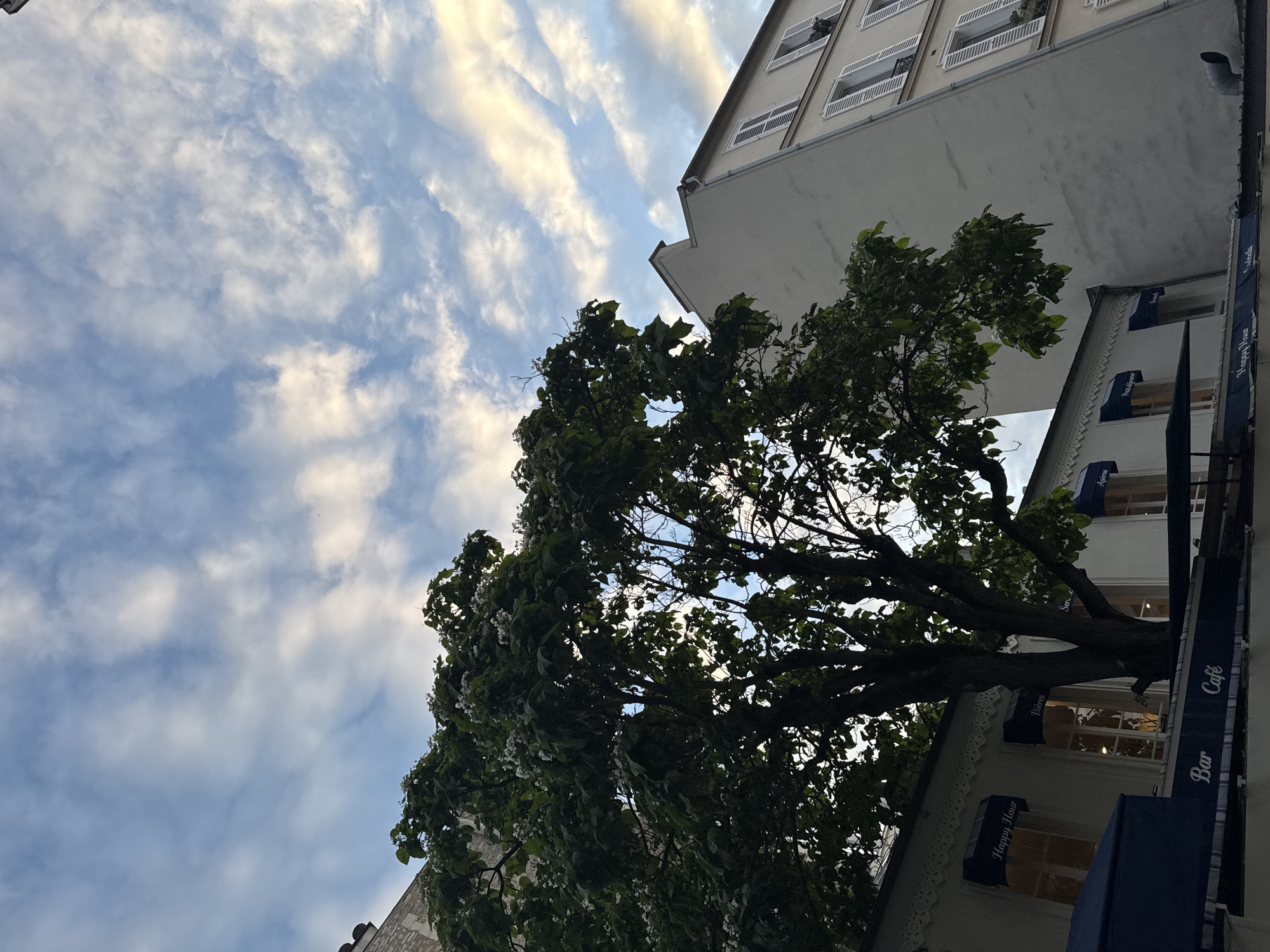 The image, taken from a low angle, captures a view looking upward toward a partly cloudy sky, juxtaposed with portions of adjacent buildings and a tree. The sky presents wispy, streaky clouds with patches of blue visible in between. Buildings frame the central space, with one showing a light-colored facade, multiple windows, and what appears to be small balconies. The lower part of the building shows blue banners with the words "Happy Hour," "Bar," and "Café." A mature tree, with a dense canopy of green leaves, extends its branches into the center of the frame, partially obscuring parts of the sky and buildings.
Given the architecture, signage in both French and English, and general ambiance, it is highly probable that this scene is located in Paris, France.