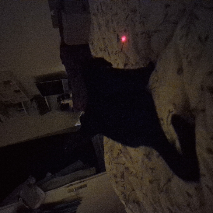 A dark cat lies on a bed with a patterned bedsheet. A small red dot is visible on the bedsheet near the cat. The room is dimly lit, and a shelf with objects is visible in the background on the left. The image appears rotated slightly.