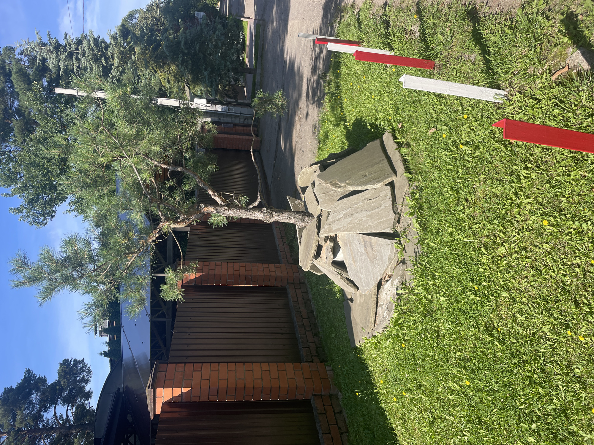 The image depicts a street scene in Vidnoye, Russia, on a clear, sunny day. In the foreground, a small pine tree is artfully arranged around a base of flat, grey stones. The tree itself has a slender trunk and sparse, green needles. Surrounding the tree and stones is a patch of bright green grass dotted with small yellow wildflowers.

To the left of the tree, a fence made of reddish-brown brick pillars and dark brown metal panels runs along the edge of the property. Behind the fence, a dark, curved roof structure is visible, possibly part of a building or carport. Several tall, mature trees, including pines and other evergreens, form a dense backdrop.

To the right of the grassy area, a paved surface, likely a road or driveway, is visible. Along the edge of this paved area, a series of red and white striped markers are planted in the grass, delineating the boundary. In the background, more trees and a utility pole with wires are present. The overall impression is a well-maintained, residential street with a focus on landscaping.