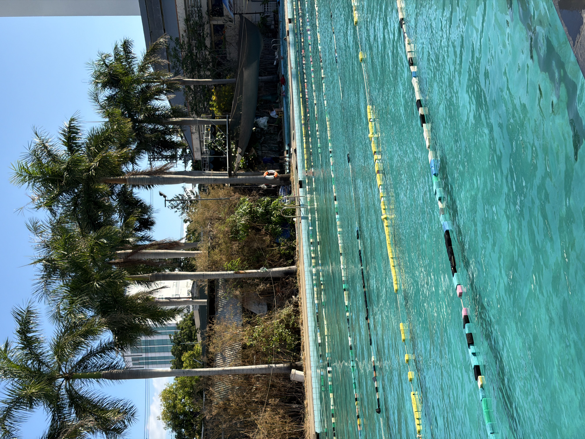 The image depicts an outdoor swimming pool in Nha Trang Ward, Vietnam. The pool is divided into lanes by floating lane markers of varying colors, including yellow, black, green, and pink. Clear, blue water fills the pool. The pool deck is lined with lush vegetation and several tall palm trees. Adjacent to the vegetation is a building complex. The sky above is clear and blue. A lifeguard ring hangs on the edge of the pool. People are present near the edge of the pool.