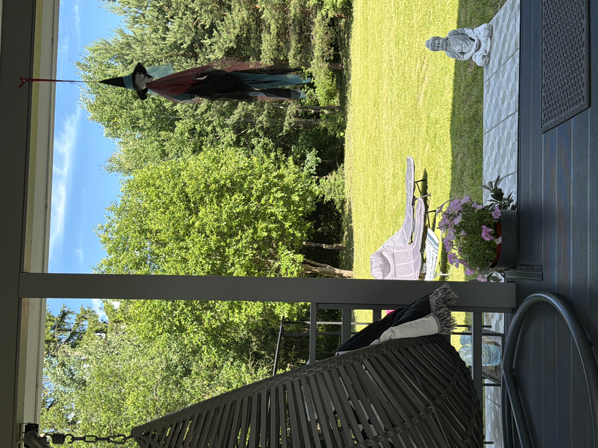 This is an outdoor shot taken from a covered porch, looking out onto a backyard. The porch has dark grey decking and a grey wicker hanging chair with a black and white throw blanket. A potted plant with pink flowers sits on the tiled section of the porch, next to a seated Buddha statue. Beyond the porch, a well-maintained green lawn stretches out, dotted with two lounge chairs. The background is filled with lush green trees, including a conifer on the right. A hanging decoration resembling a witch, with a pointed hat and draped fabric, is suspended from the porch ceiling. The sky is blue with some white clouds. The overall impression is a peaceful, residential backyard in a wooded area. The location of Алешкино Дп, Russia is provided, suggesting a rural or suburban setting.