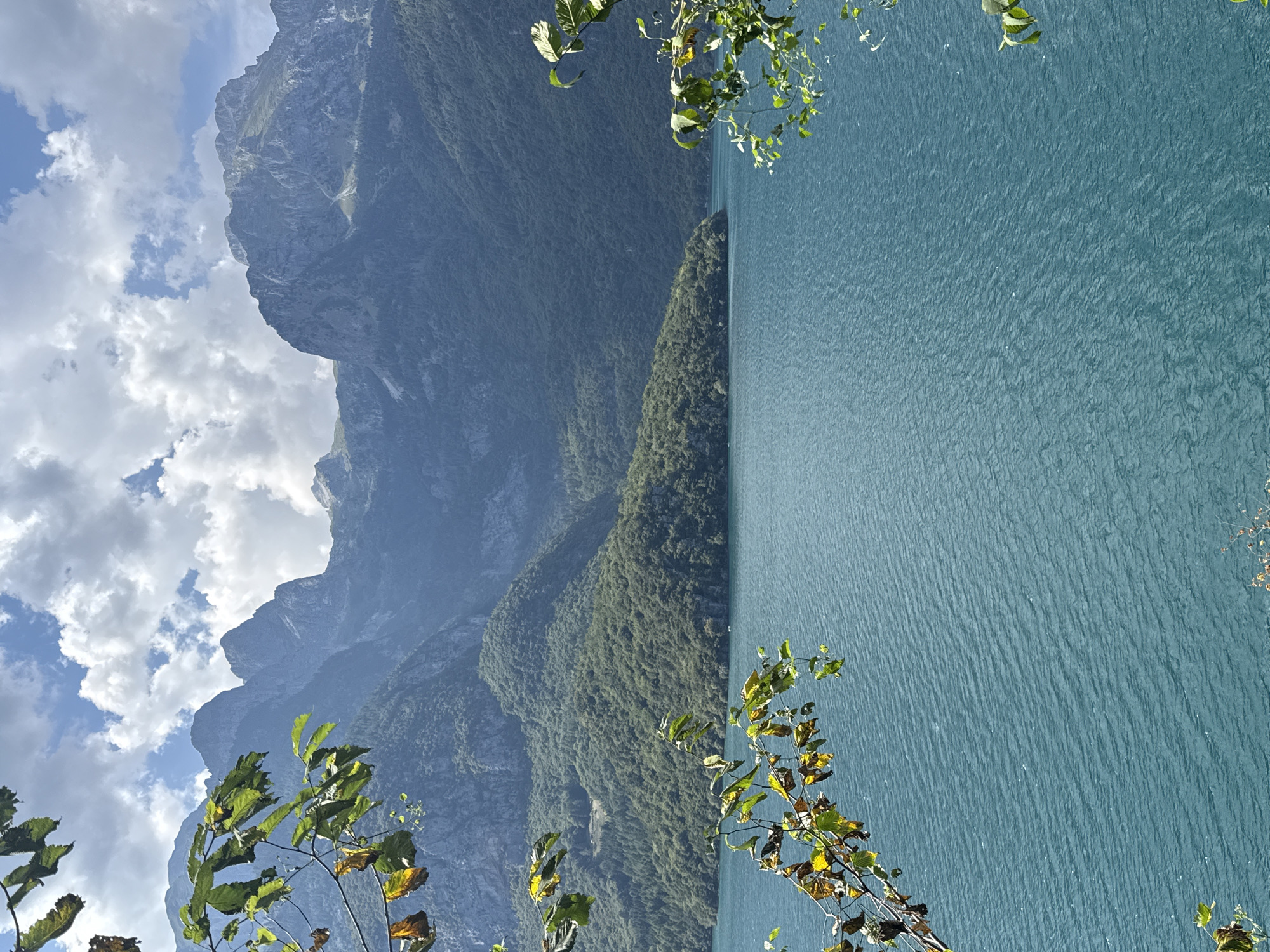 The image depicts a wide view of a serene turquoise lake with gentle ripples, bordered by lush green, tree-covered mountains. In the foreground, branches with a few yellowing leaves frame the scene, suggesting a transition from summer to autumn. The mountainous backdrop is rugged and imposing, with jagged peaks piercing a partly cloudy sky. This landscape is characteristic of Lake Molveno, nestled in the Trentino region of northern Italy, a popular destination for nature lovers and outdoor activities. There are no people or specific man-made structures visible in the immediate vicinity, emphasizing the natural beauty of the location.