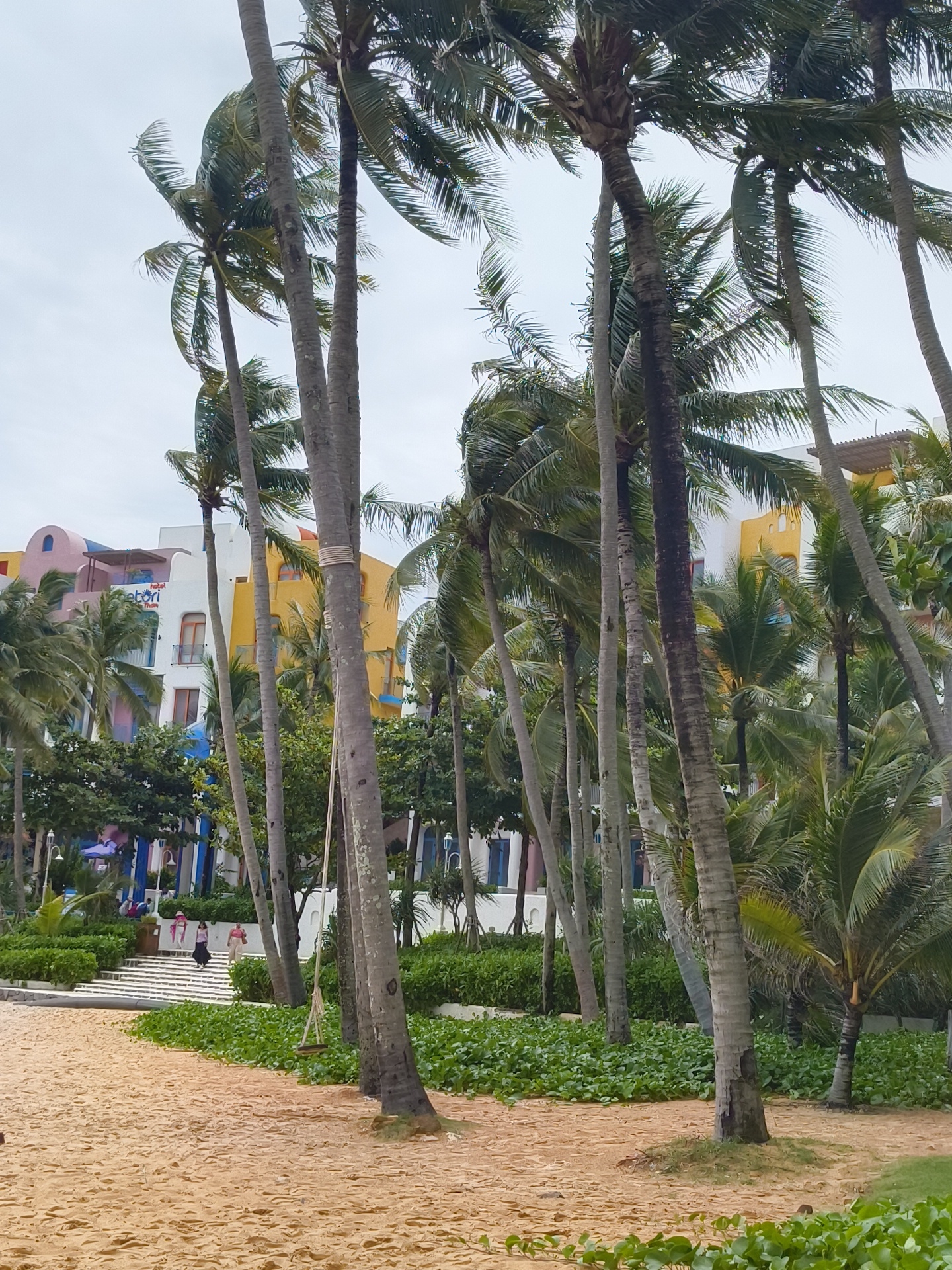 This image depicts a beach scene with numerous palm trees in the foreground and mid-ground. Behind the palm trees, there is a vibrant building complex with colorful sections, including pink, yellow, and white walls, and blue windows. The building appears to be a hotel or resort, with a sign that reads "hotel pretori". Two people are walking up a wide set of stairs in the mid-ground, which is bordered by lush green bushes. The beach itself is sandy and golden, with some green ground cover vegetation visible. A swing made of rope and wood hangs from one of the palm trees. The sky is overcast and a pale gray. The scene is likely located in Phú Quốc, Vietnam, given the prevalence of palm trees and beach resorts in that region.