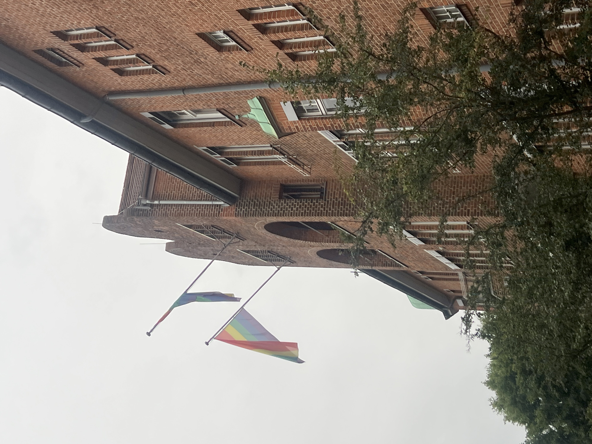 Two rainbow flags are flying from poles attached to a red brick building, seen from a low angle looking up. The flags are partially obscured by a tree with dark green foliage in the foreground. The building has multiple windows and a tiled roof. The sky is overcast. The building is identified as the "Haus der Demokratie und Menschenrechte" in Berlin, Germany.