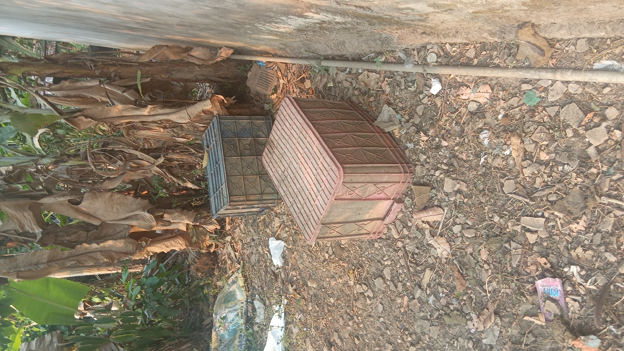 A medium shot shows two plastic crates on the ground outside. The crate in the foreground is reddish-brown and rectangular. The crate behind it is darker, possibly gray or dark blue, and also rectangular. Both crates are made of a grid-like plastic material. The ground is covered in dirt, small rocks, and dry leaves. Behind the crates, banana trees with large, dry leaves are visible. To the right of the crates, a concrete wall runs vertically, with a metal pipe resting against it. The scene appears to be in an outdoor, possibly rural or semi-urban environment in Prabumulih, Indonesia, given the presence of banana trees. There are no people or animals visible in the image. The lighting suggests it is daytime.