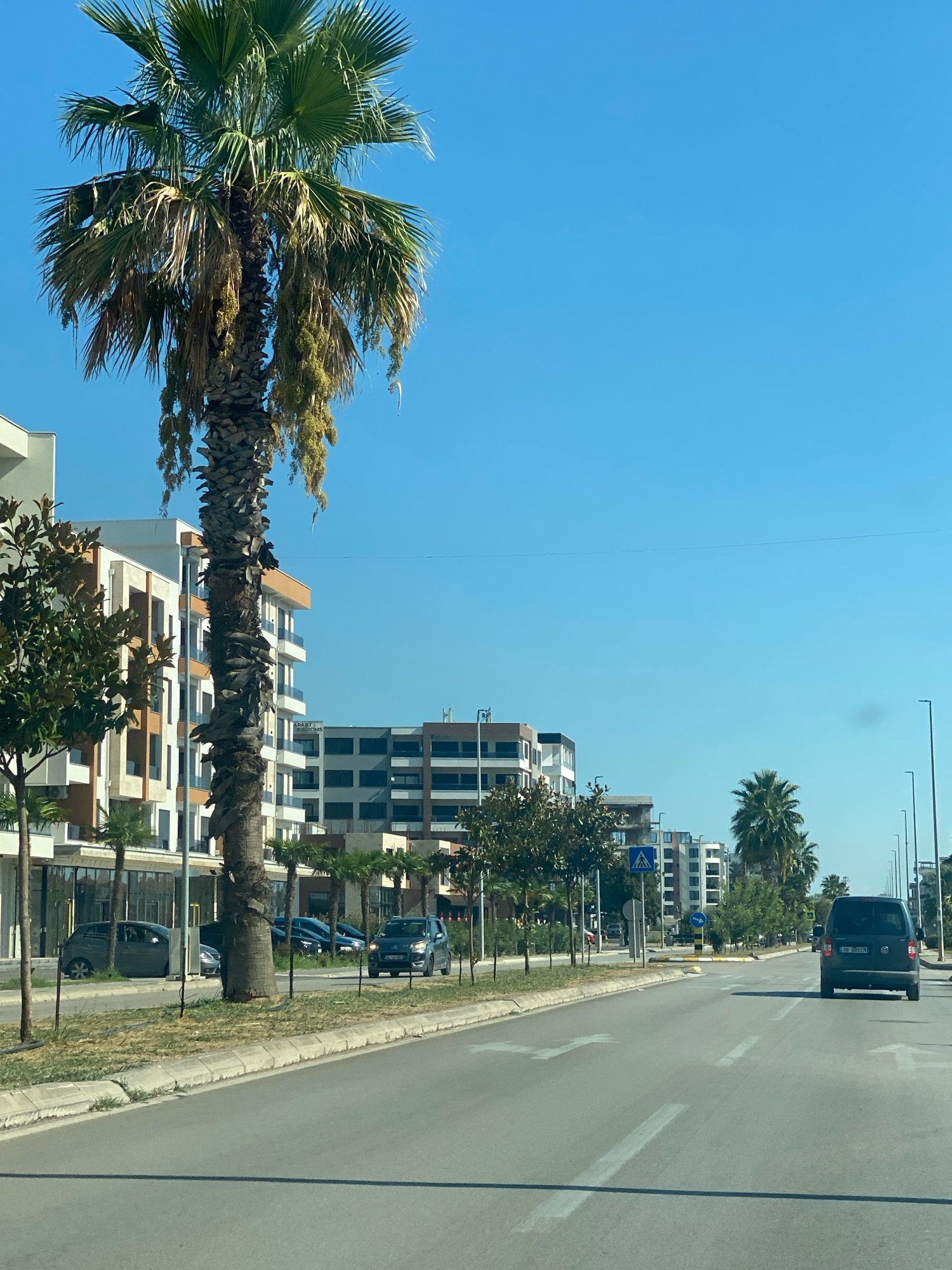 The image depicts a street scene in Ulcinj, Montenegro, under a clear blue sky. A prominent palm tree stands on the left side of the frame, with its fronds reaching towards the sky. Behind the palm tree, modern apartment buildings with white and tan facades are visible. The street itself is paved and has white lane markings. Several cars are parked along the side of the road and one dark-colored van is driving away from the camera down the street. Other trees and streetlights line the sidewalk, and a pedestrian crossing sign is visible in the background. The environment appears to be an urban or suburban setting, likely during daylight hours given the bright sunlight and clear sky.