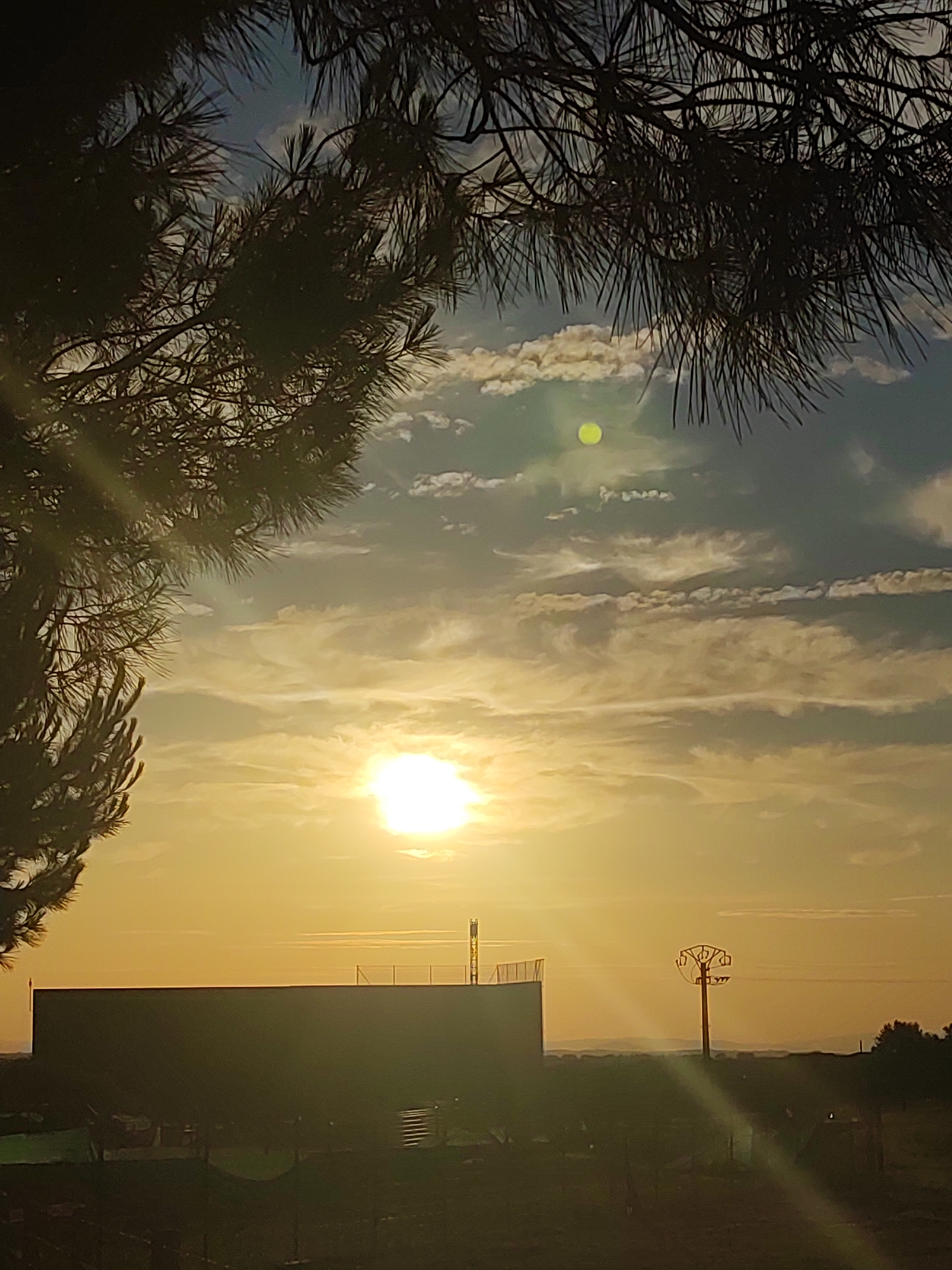 The image captures a sunset scene in Sobradillo, Spain, framed by the dark silhouette of pine branches in the foreground. The sun, a bright orb of light, is prominently positioned in the lower center of the frame, casting a warm, golden glow across the sky. Wispy clouds streak across the sky, illuminated by the setting sun. Below the sky, a dark, rectangular structure, possibly a building or industrial facility, occupies the middle ground. A fence runs along the top of this structure. To the right of the structure, a solitary utility pole with cross-arms stands against the horizon. The landscape in the background is dimly lit and appears to be somewhat rural, with hints of vegetation and possibly distant hills. A faint, circular green light is visible in the upper portion of the sky, possibly an artifact of the lens or a distant light source. No people are visible in the scene.