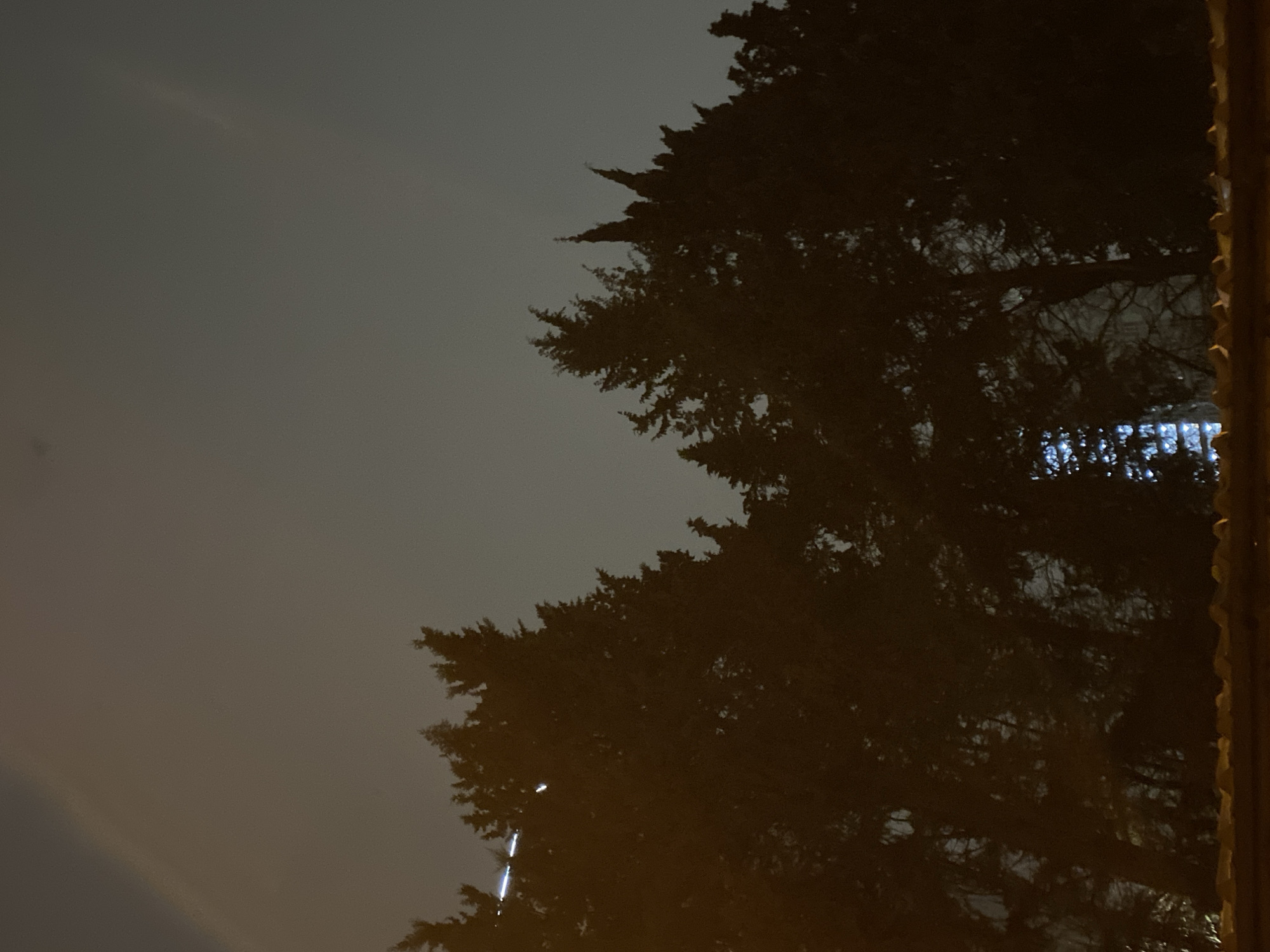 The image shows a tree silhouette against a foggy or overcast sky. Some lights are visible through the tree branches. Based on the available information, it is impossible to conclusively determine the exact location within Sochi, Russia, or identify specific subjects and interactions.
