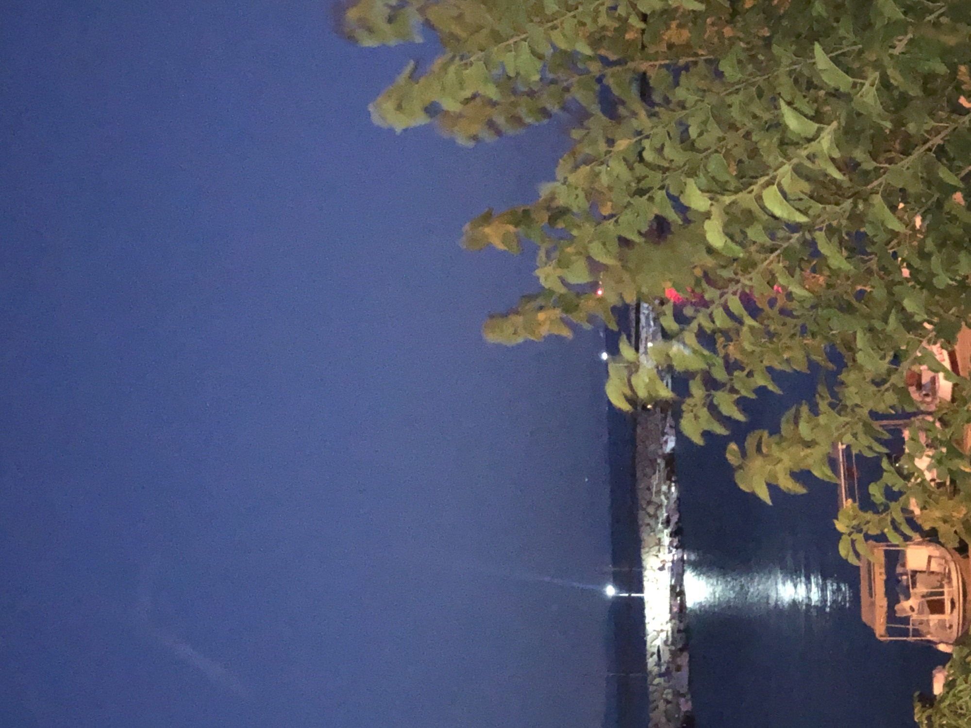 A twilight shot of a harbor in Karaburun, Turkey, captured with a shallow depth of field. In the foreground, lush green foliage, some with hints of yellow, dominates the right side of the frame, obscuring parts of the scene. Beyond the foliage, a calm, dark blue body of water reflects the light of a distant lighthouse or lamp post on a rocky breakwater. Several boats are docked within the harbor, one prominently in the lower-left foreground with a tan canopy. The sky above is a deep, clear blue.