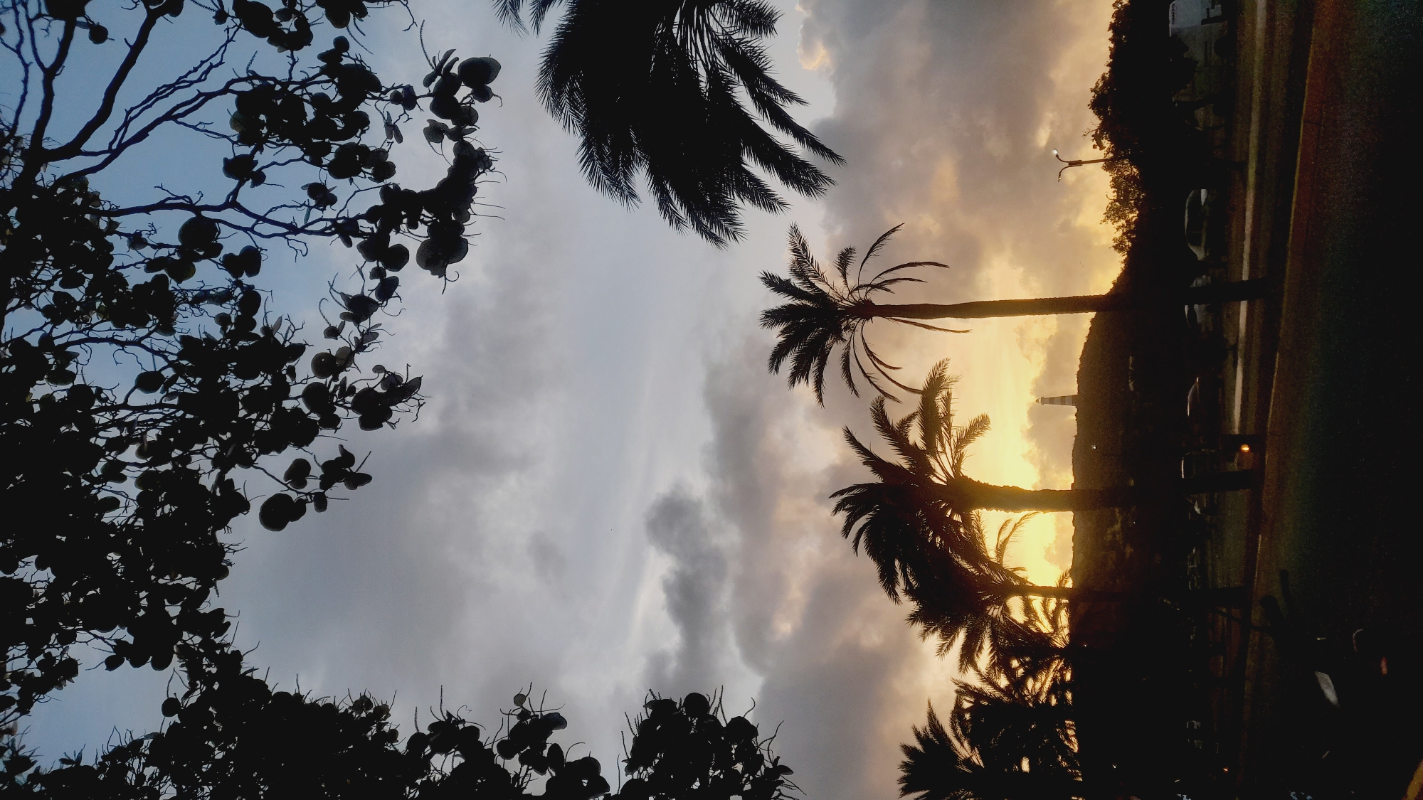 The image depicts a twilight scene in Pedro González, Venezuela, characterized by silhouetted palm trees and foliage against a gradient sky. A lighthouse, striped in black and white, stands atop a hill in the background, illuminated by the setting sun. The sky is a mix of soft blues and grays with hints of orange and yellow near the horizon, suggesting dramatic cloud formations. In the foreground, a road is visible with parked cars and streetlights, indicating an urban or semi-urban setting. The overall mood is tranquil and atmospheric, capturing the transition from day to night.
