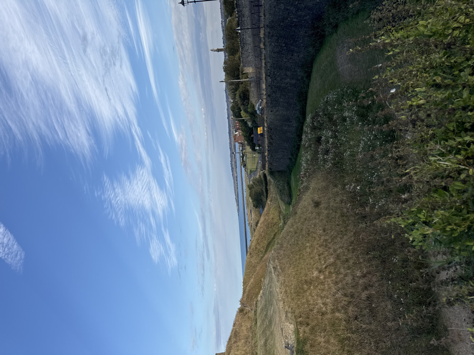 The image displays a coastal landscape in North Tyneside, United Kingdom, characterized by historical features and natural terrain under a clear blue sky.
The upper two-thirds of the frame are dominated by a bright blue sky, streaked with thin, white cirrus clouds extending horizontally. The horizon reveals a calm, blue body of water, identified as the North Sea, with a distant coastline. A pier or breakwater extends from the left coast into the water. Prominently situated on the far right horizon is St. Mary's Lighthouse, a tall, conical, light-colored structure with a darker top, located on an islet off Whitley Bay.
The midground features undulating, dry, brownish-green grassy slopes and mounds on the left, possibly earthworks or ancient defensive structures. A small, dark, low-lying stone object or ruin is partially visible on the lower-left slope. A deep, U-shaped valley, partially vegetated with wild grasses and a mown strip at its base, separates these mounds from a substantial, dark grey stone wall that runs horizontally across the mid-right portion of the image.
Behind this stone wall, a paved road or path is visible. A single grey passenger vehicle is in transit on this road, moving leftward. A yellow rectangular sign is positioned near the road. Further right, a black, ornate street lamp post stands upright. Distant residential buildings and scattered trees are visible along the coast beyond the road.
The foreground is composed of dense, dark green and brownish undergrowth, including tall grasses and various leafy plants, partially obscuring the base of the valley. No people are present in the scene. The lighting suggests a clear daytime condition with good visibility.