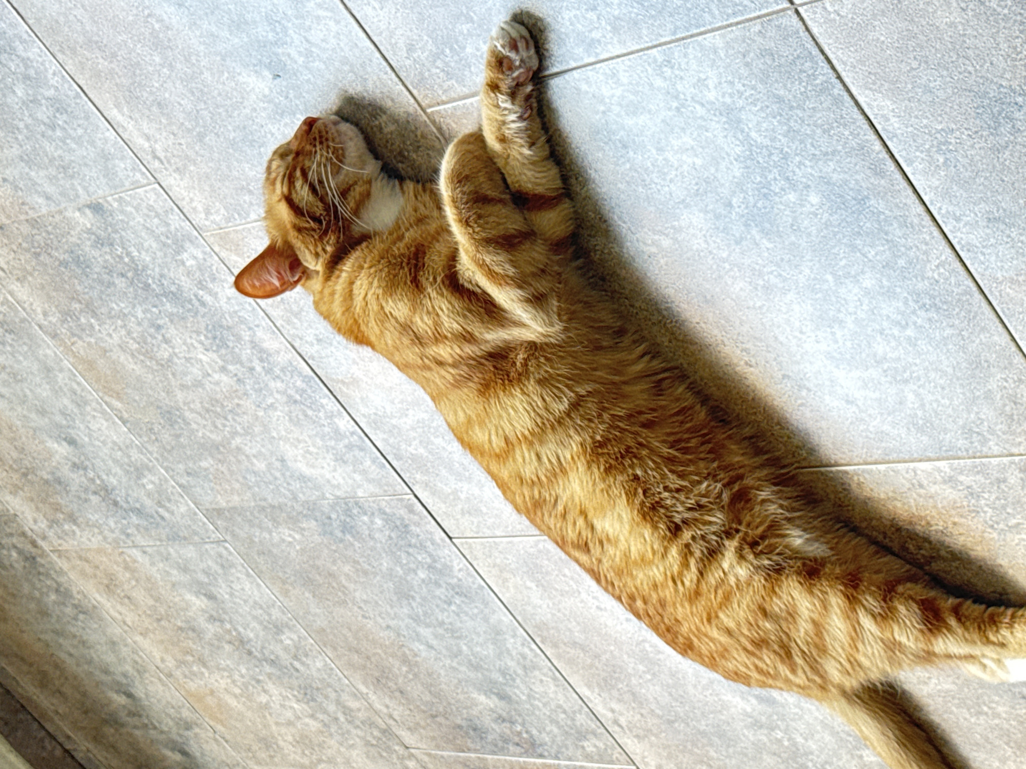 An orange tabby cat is lying on its side on a tiled floor, stretched out lengthwise. The cat's eyes are closed, suggesting it is asleep or resting. The floor tiles are light gray with a textured surface. The image is taken from a high angle, looking down on the cat. The environment appears to be indoors, likely a home. The provided crops confirm the presence of the cat and the tiled floor. There is no information about the location being Vratsa, Bulgaria.