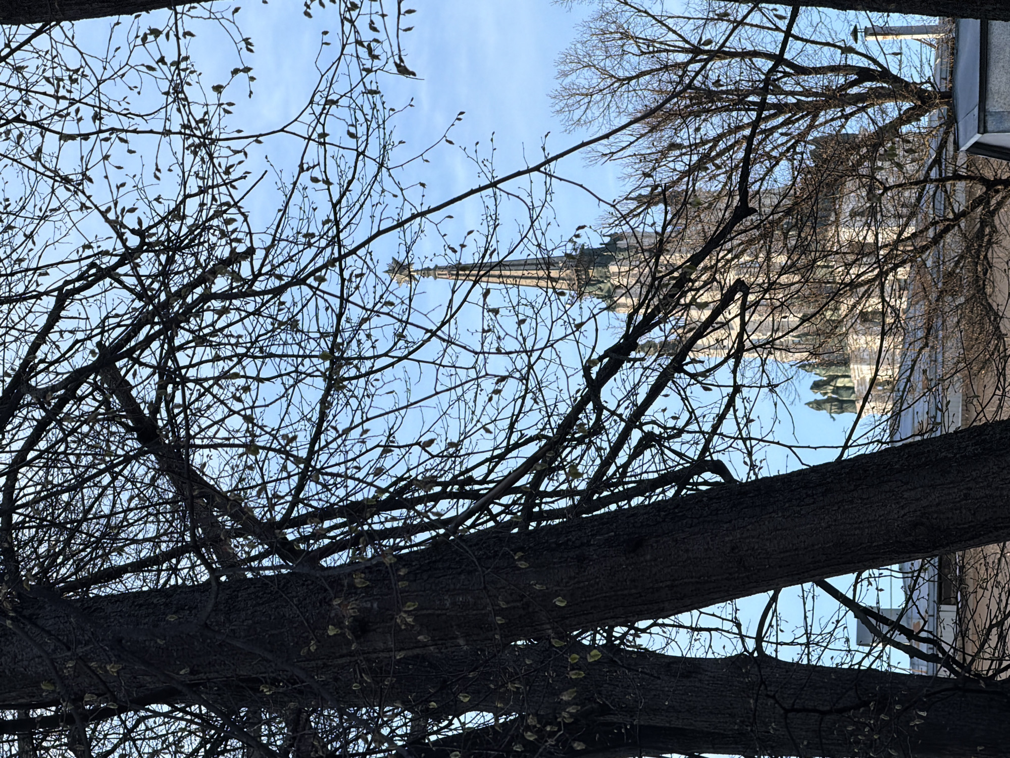 The image, when viewed upright, displays an upward-looking perspective of a cityscape framed by a dense network of tree branches. The foreground is dominated by the dark, intricate silhouettes of numerous bare branches, many of which show small, light-colored buds, suggesting the season is either late winter or early spring.
Through the breaks in the branches, a bright, clear blue sky is visible, indicating daylight and fair weather. In the mid-ground, a prominent architectural structure, likely a cathedral or a large church, stands tall. Its distinct spire or dome, with intricate detailing, reaches towards the sky. The building appears to be made of light-colored stone or material. To the right, part of another building with a flatter roofline and reflective surfaces is visible. No people are present, and no specific activity is taking place. There is no discernible text in the image. Given the location context, this scene captures a view in Moscow, Russia, possibly featuring one of its many historical cathedrals.