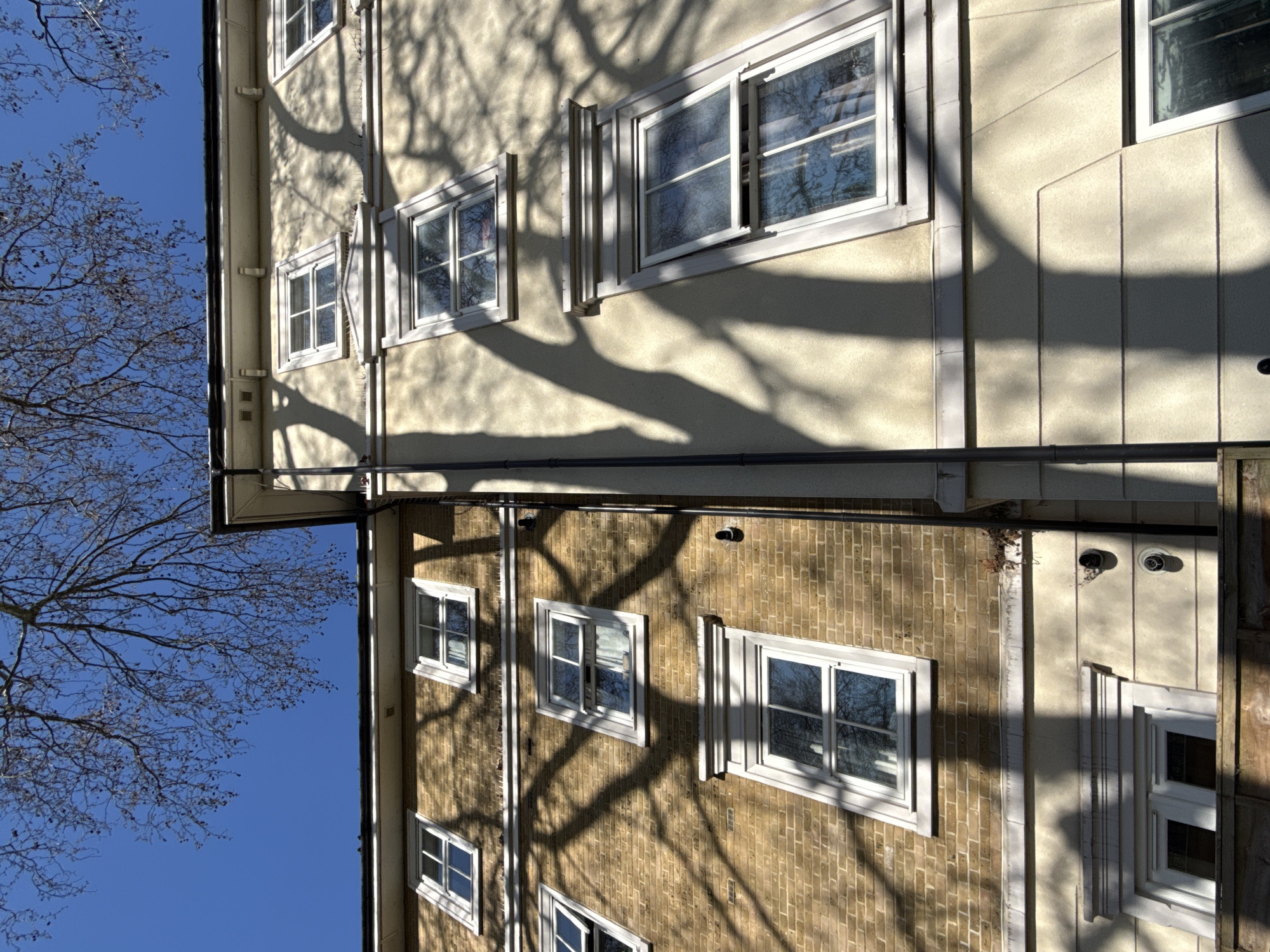 The image shows the exterior of a multi-story building with a combination of brick and stucco facades. Several windows with white frames are visible, reflecting the clear blue sky and bare tree branches. Shadow patterns from nearby trees are cast across the building's surfaces. The location is likely a residential area in London, United Kingdom. No people are visible.
