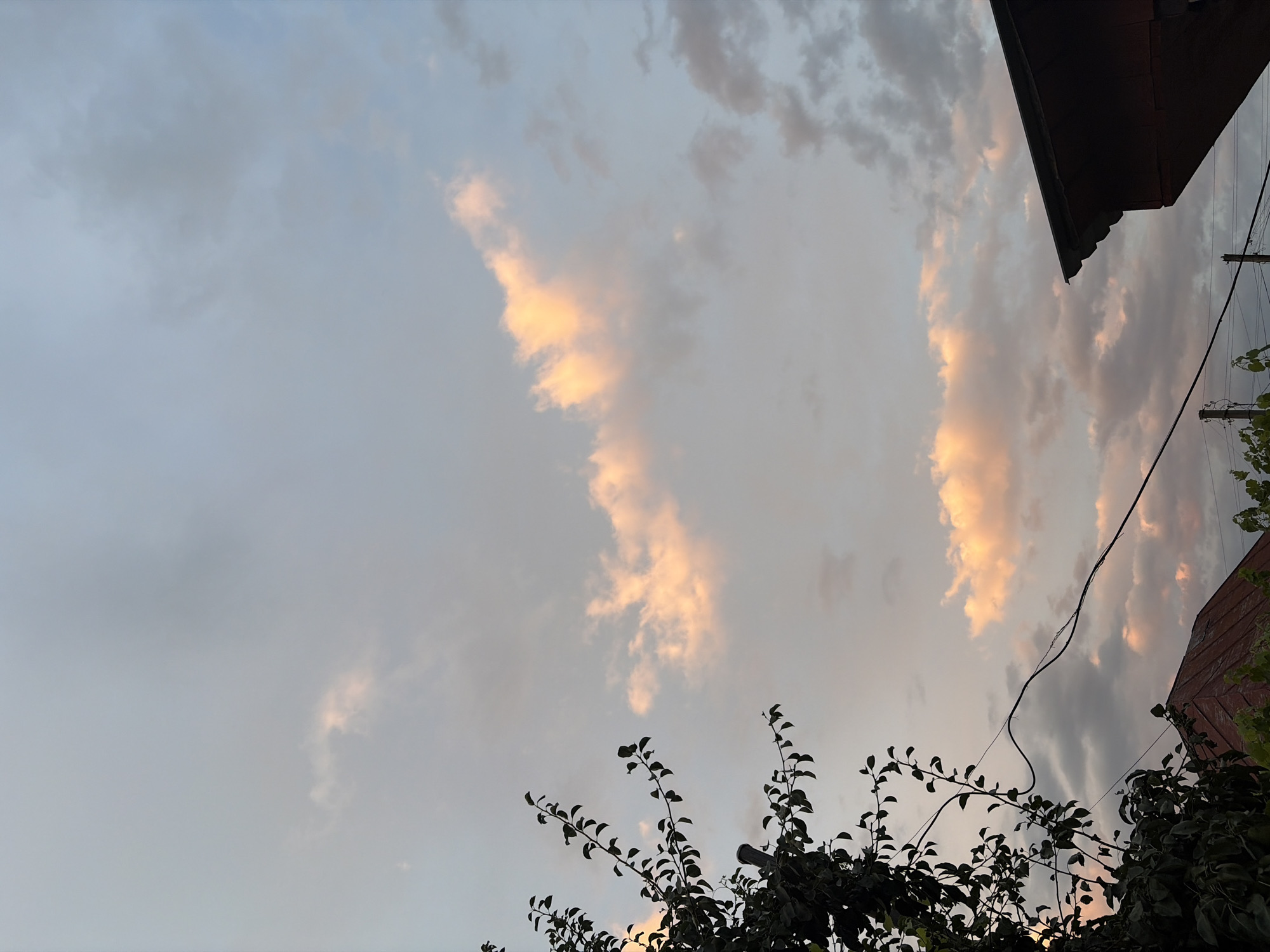 A vertical shot captures a dusky sky over a residential area. The sky is a canvas of soft gray and pale blue, with patches of clouds illuminated by the setting sun in shades of peach and orange. In the foreground, a dark silhouette of leafy branches from a tree extends from the left edge of the frame, partially obscuring the sky. A dark electrical wire snakes across the mid-ground. Below, the edge of a dark-roofed building, possibly a house, is visible in the lower right corner, its triangular shape silhouetted against the sky. Hints of other rooftops and more foliage are visible at the bottom of the image.