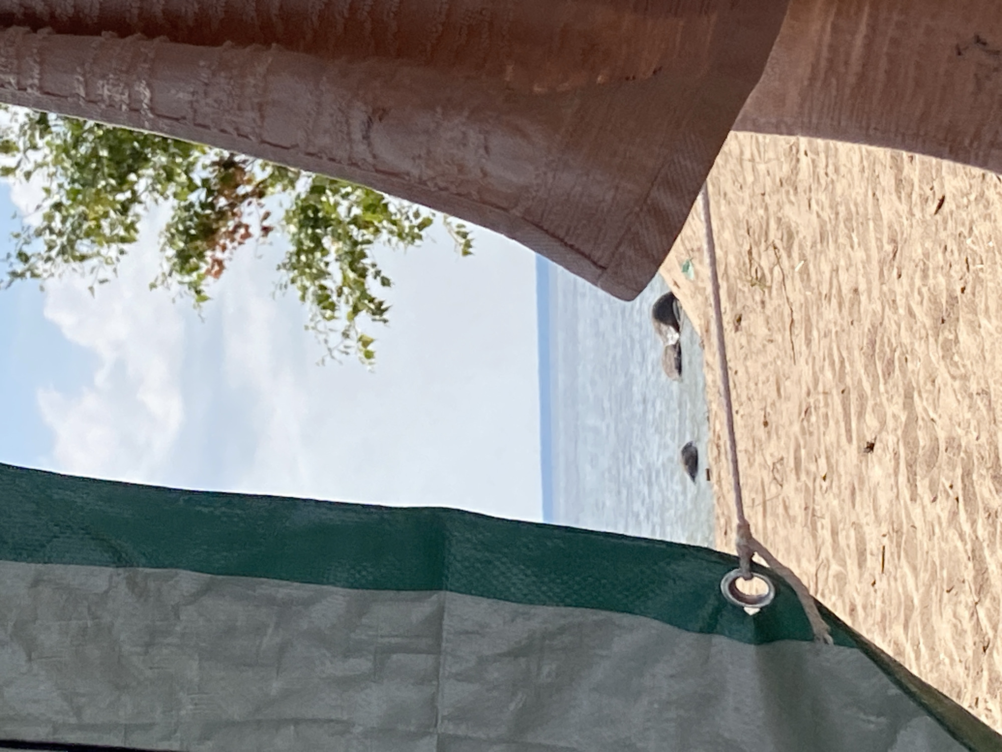 The image depicts a beach scene in Baltiiskoe, Russia. In the foreground, two large pieces of fabric are partially obscuring the view. The fabric on the left is green and grey, and the fabric on the right is a textured brown. Through the gap between the fabrics, a body of water, likely the Baltic Sea, is visible. The water is calm and a light blue color. In the distance, on the shoreline, there are several rocks. The beach itself is composed of light-colored sand. Above the water, there is a clear blue sky with a few scattered white clouds. A tree with green and reddish-brown leaves is partially visible in the upper right quadrant of the image. The overall impression is of a serene, outdoor setting, possibly on a sunny day. There are no people visible in the image.
