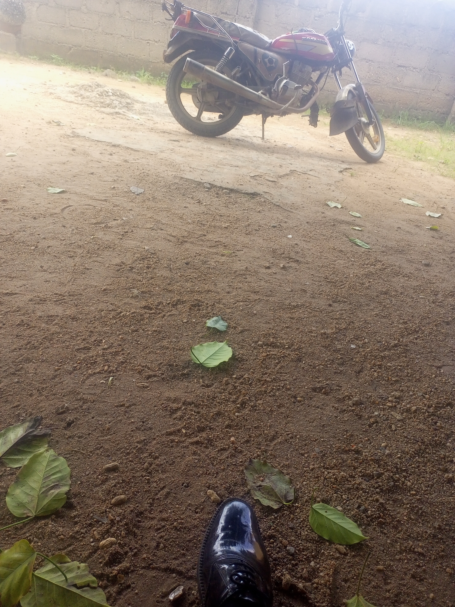 Memory